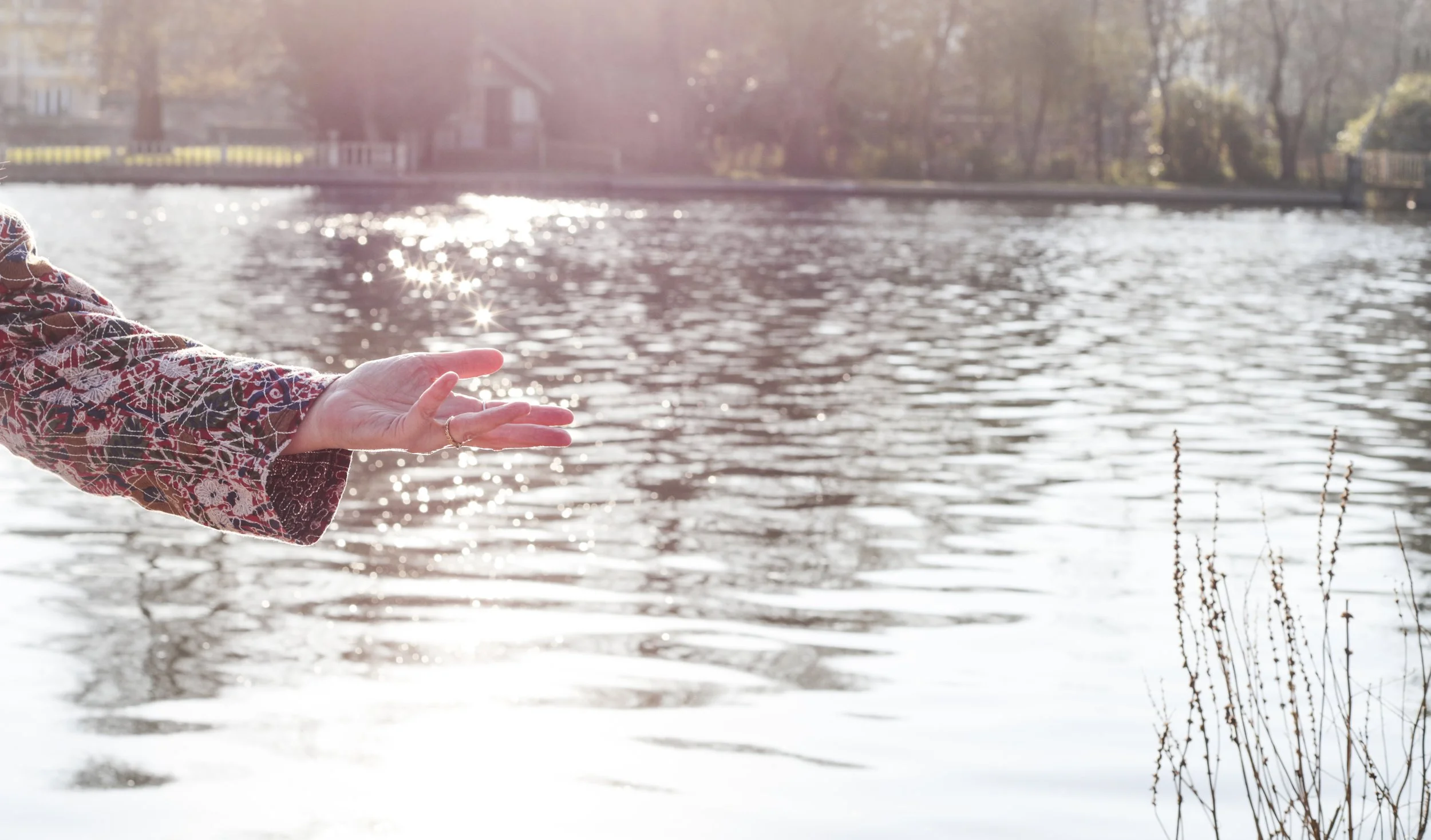 A person wearing a colorful patterned long-sleeve shirt is reaching out with their left hand near a body of water, with sunlight reflecting on the water's surface. The background includes trees and a park-like setting.