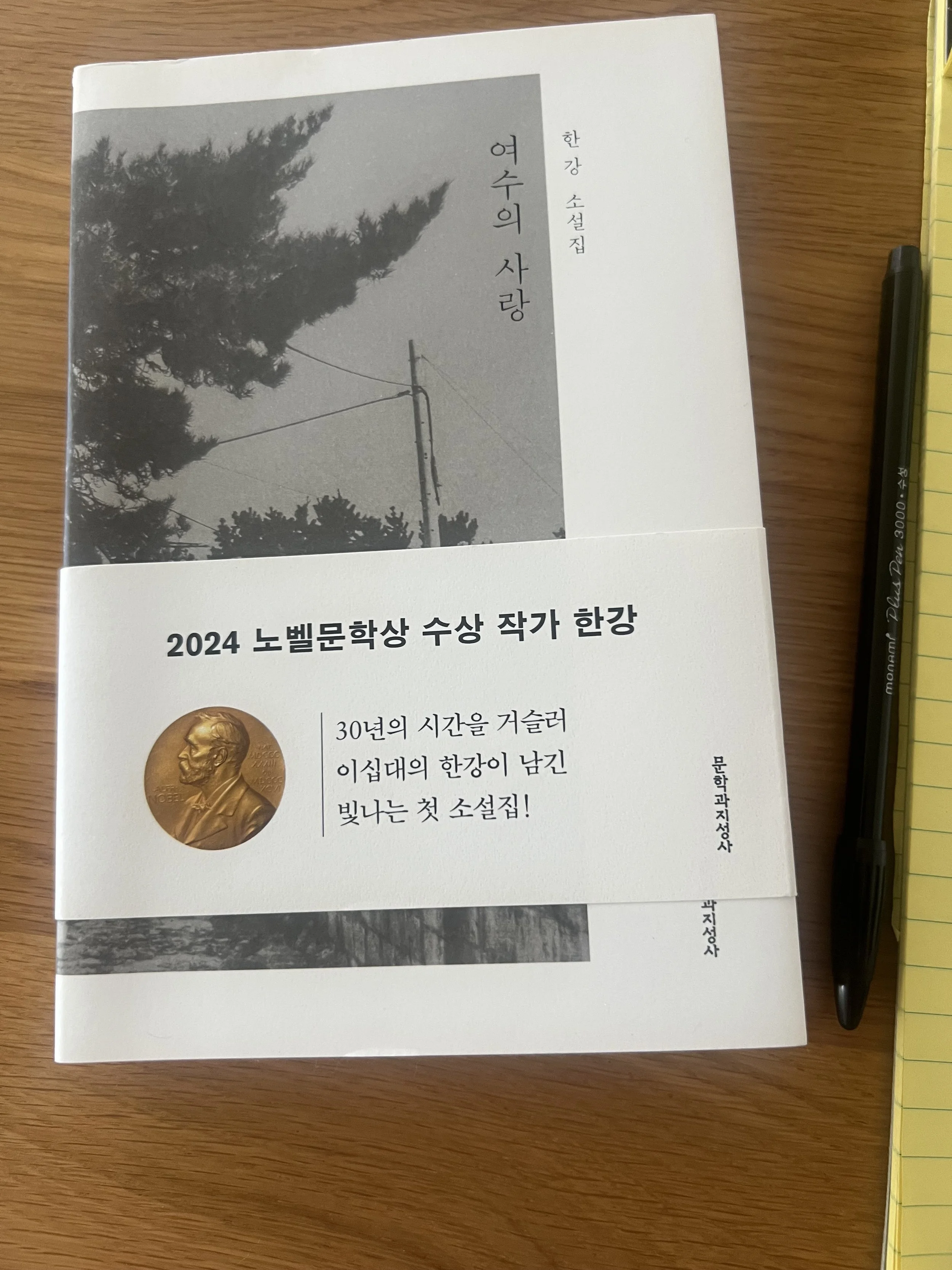 한강의 ‘여수의 사랑’을 읽고 Where Yeosu Meets Memory: Reading Han Kang Again