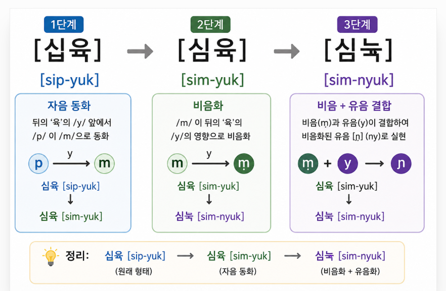 자음 첨가에 대해서 Consonant Insertion in Korean: Why Korean Sounds Different from What You See