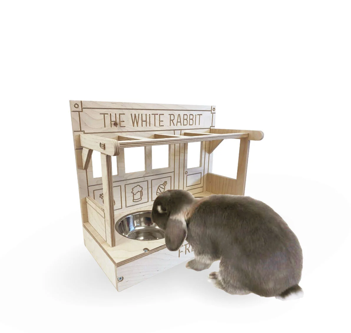 Giant White Rabbit