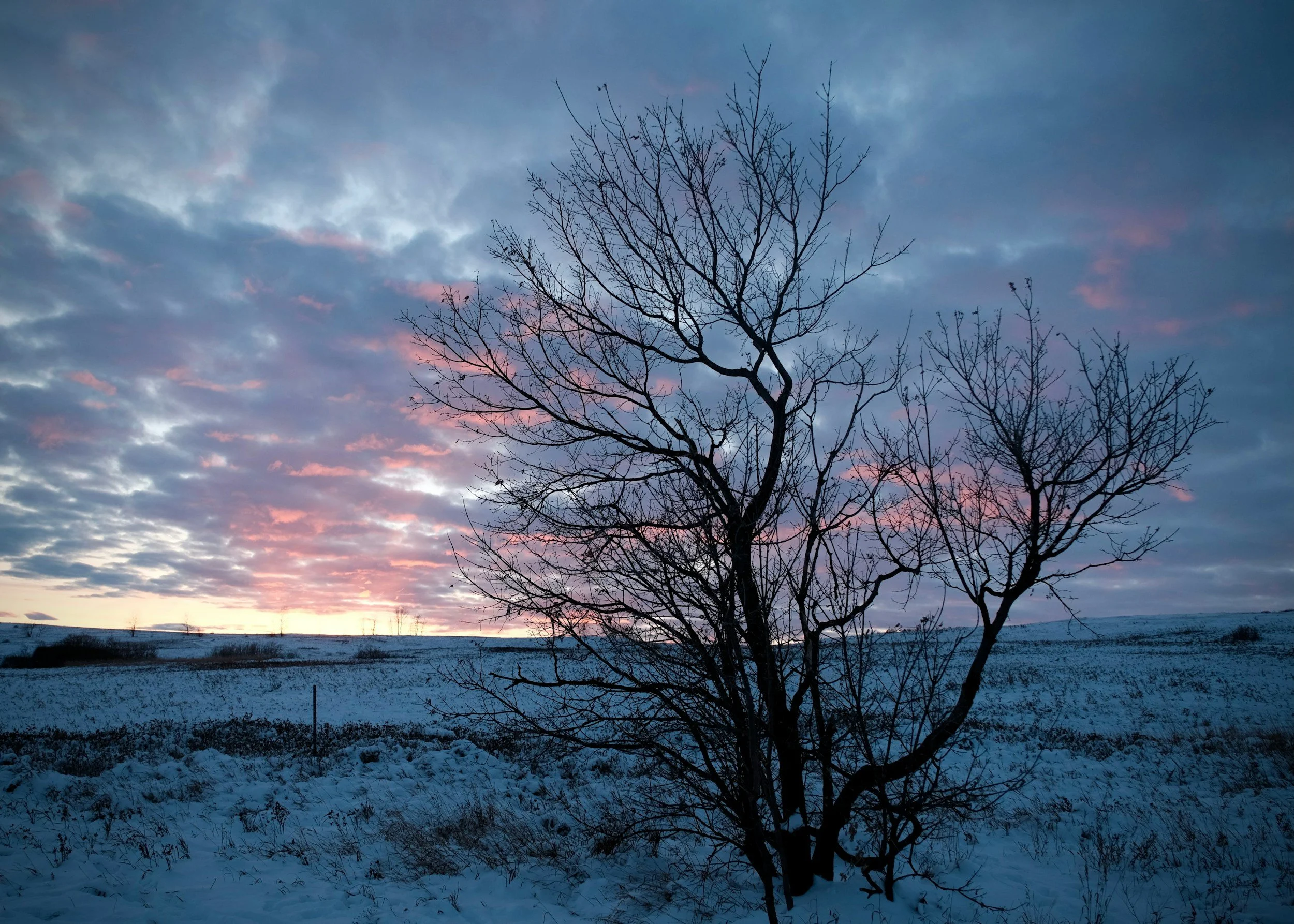 Winter Meditation Series - Rest and Nourishment