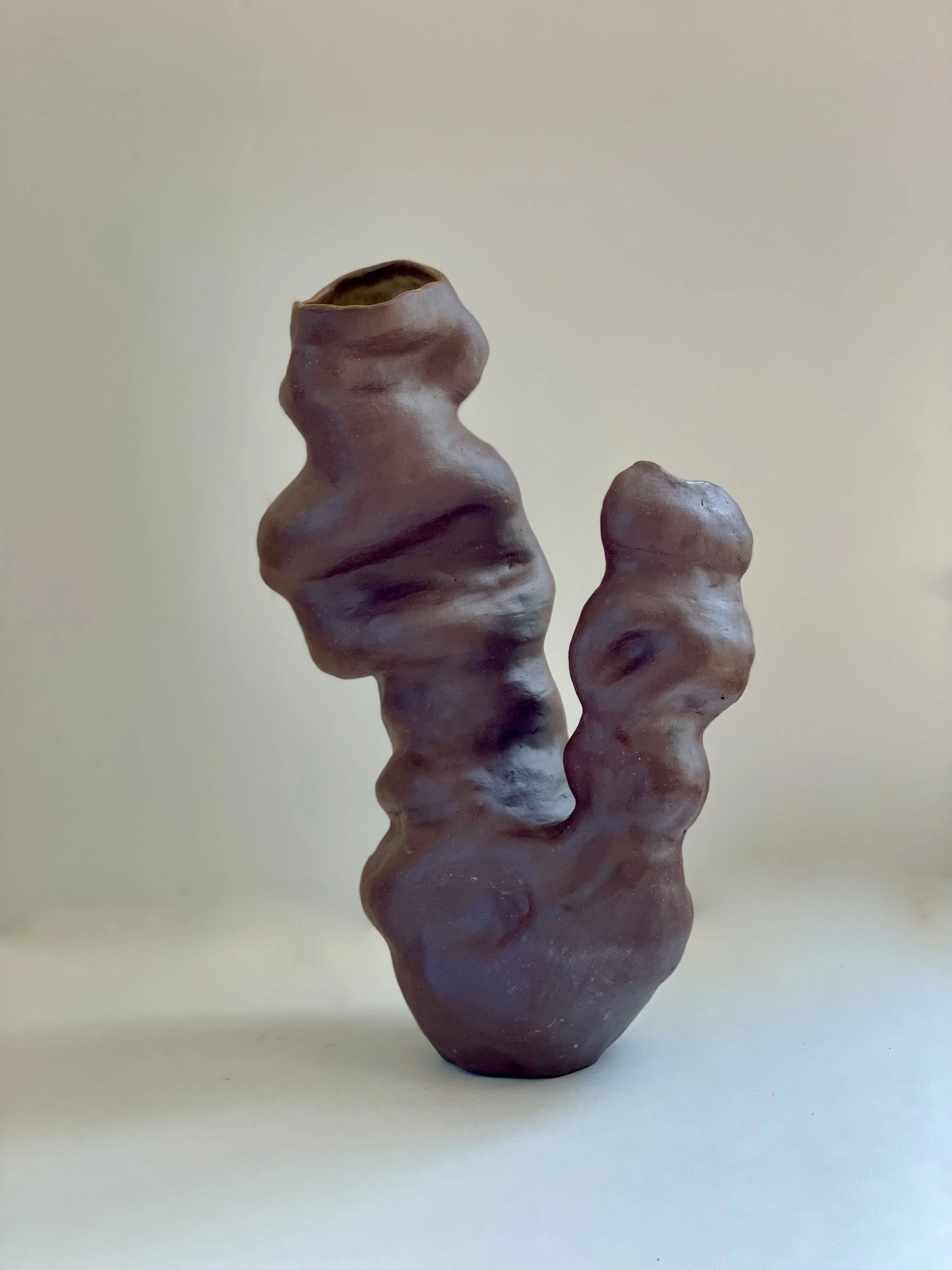 "Rooted in Wonder" sculptural vase
