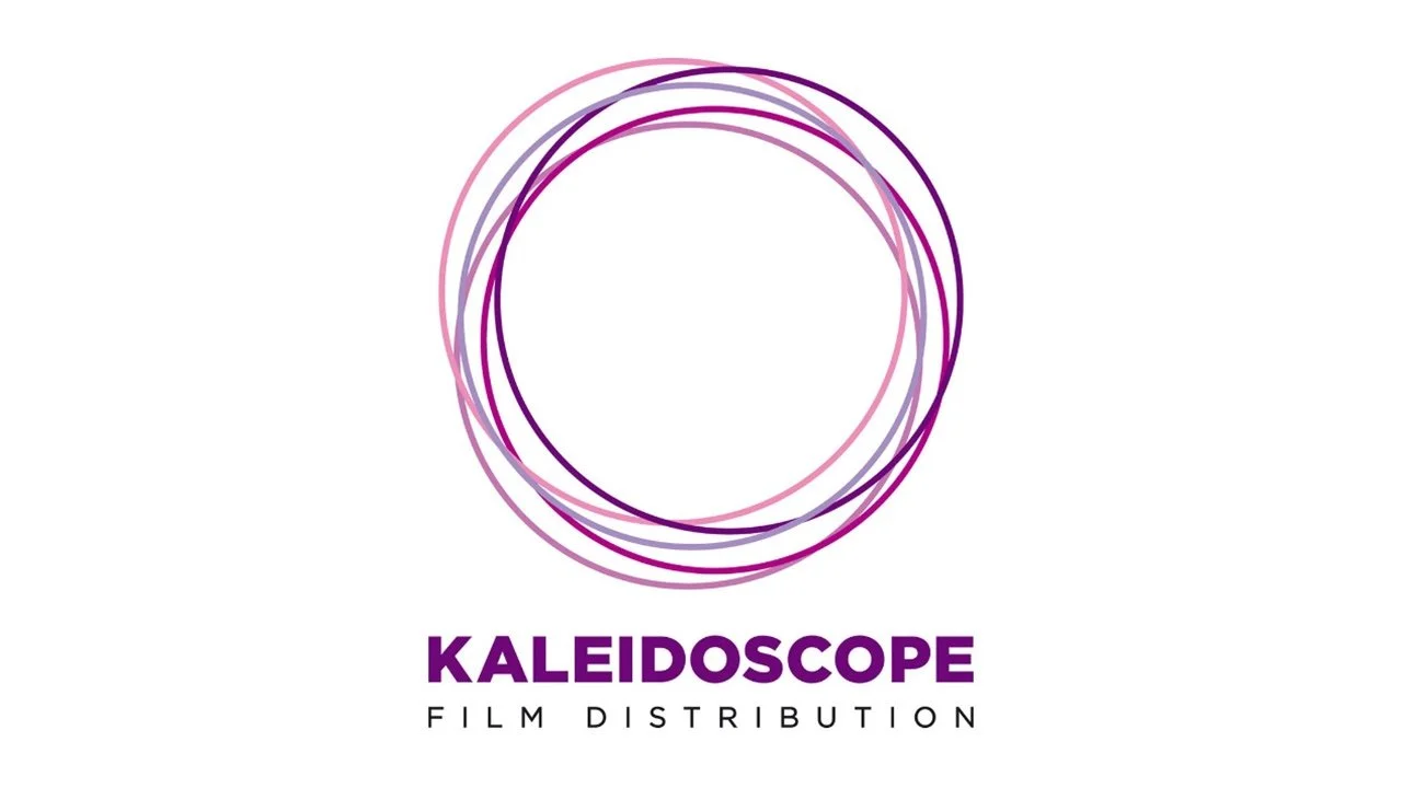 GOT A FEATURE FILM IN DEVELOPMENT WITH 50% FUNDING?