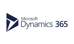 dynamiscs 365 (1).png