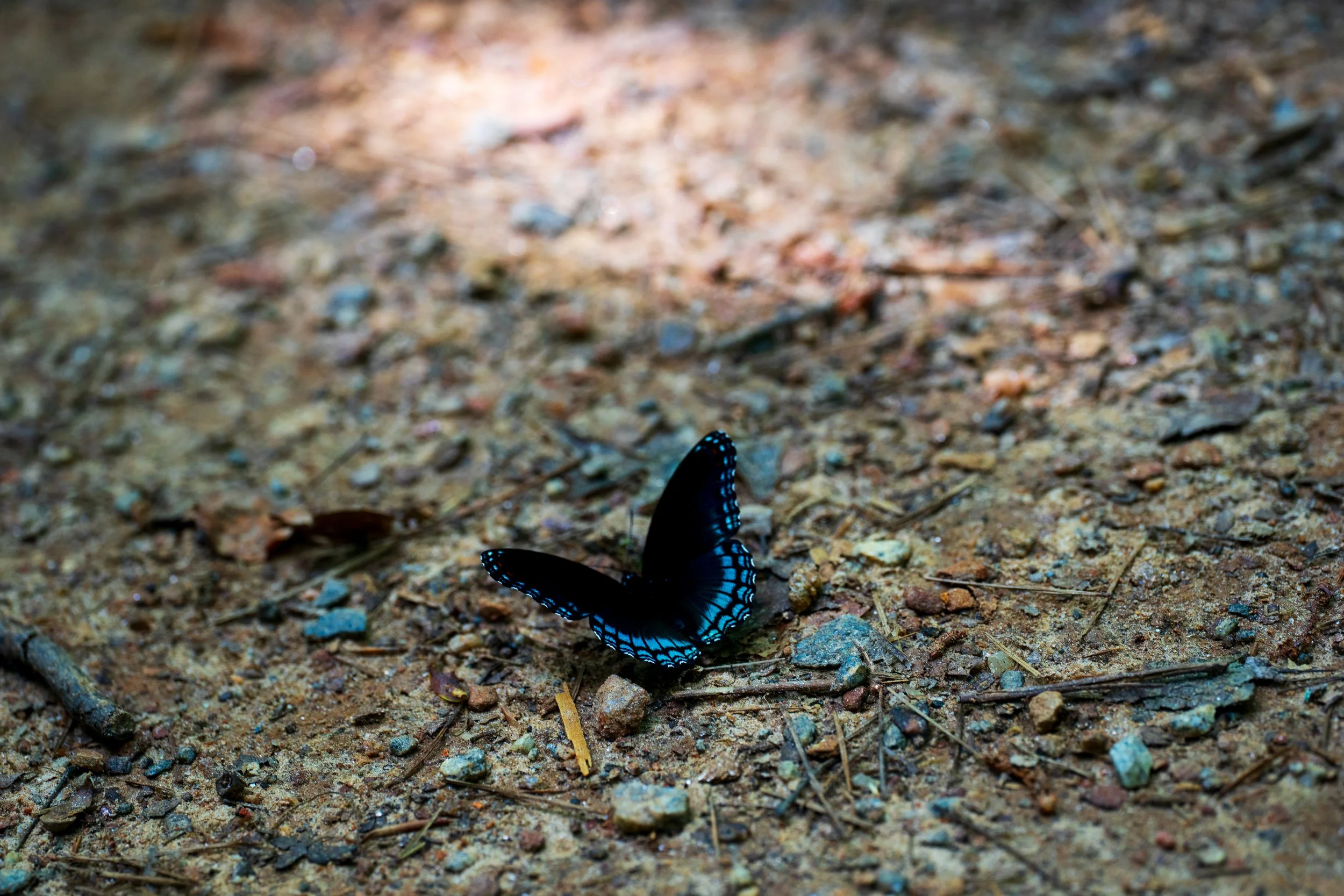 DSC07502.JPG