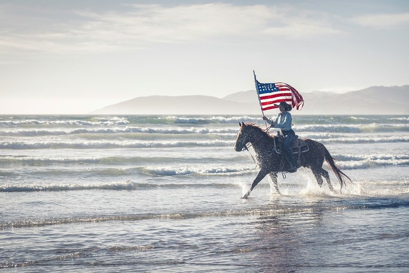 アメリカが日本を植民地にしなかった理由【幕末編】ペリーとハリスの目的
