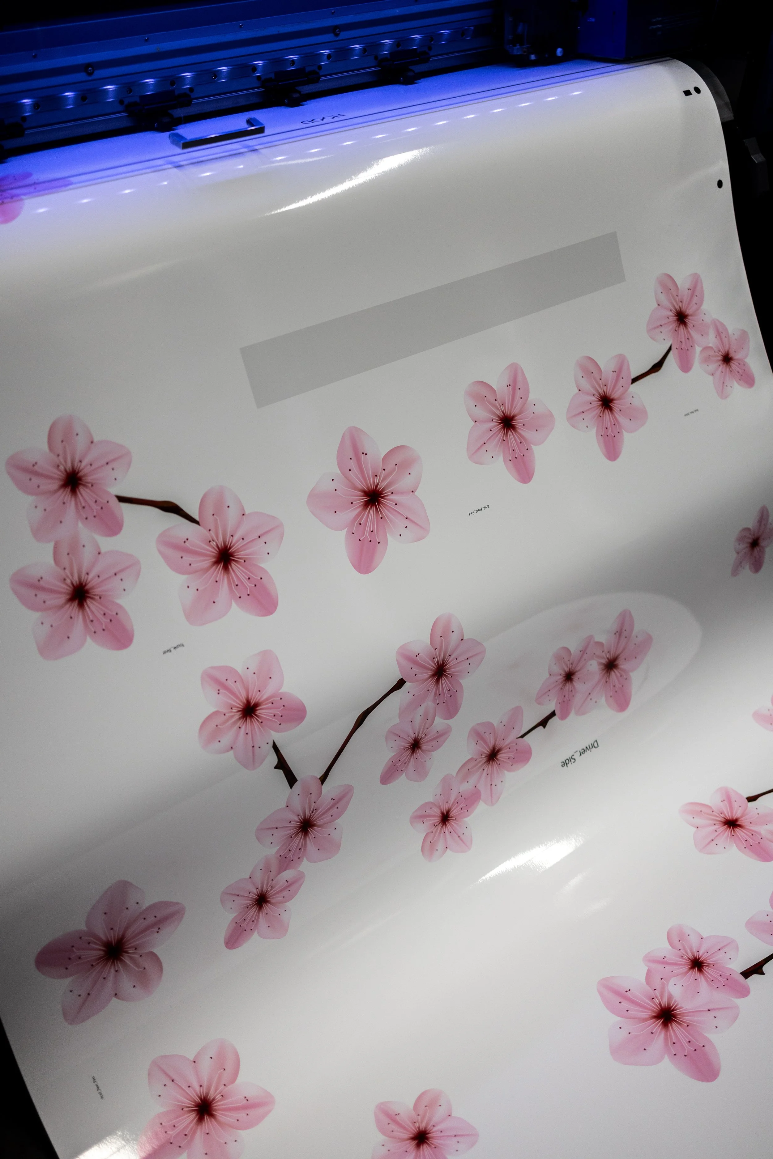 Printing of pink cherry blossom flowers on a white surface with black stems.