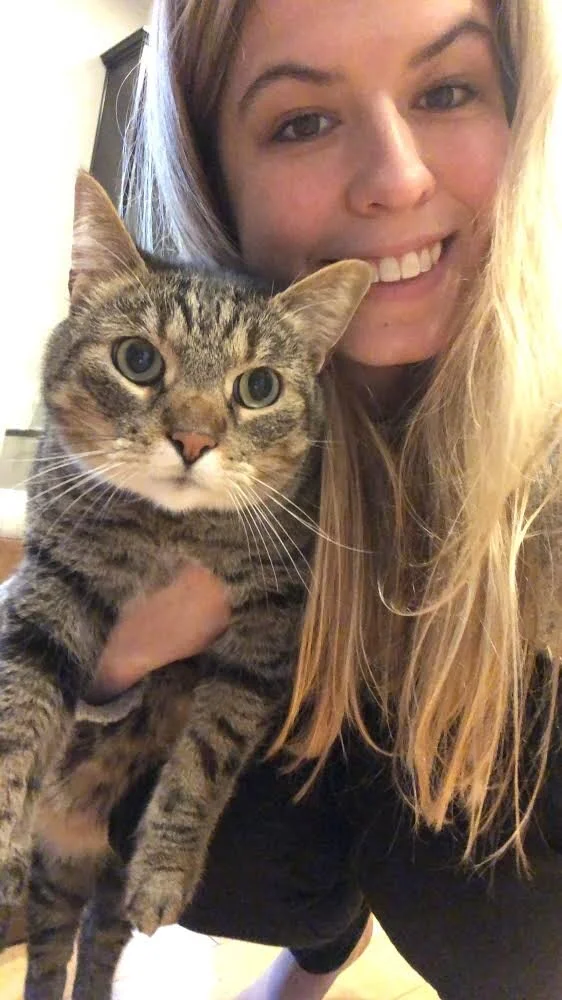 Merlin