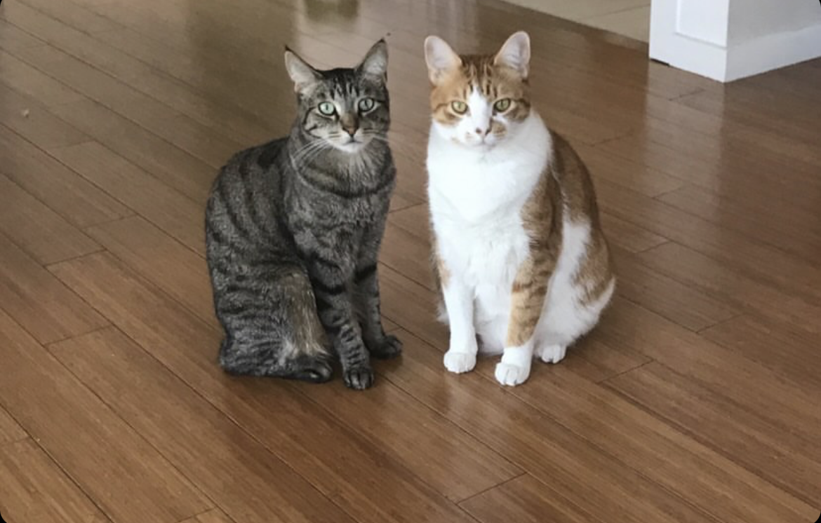 Jax and Wallace
