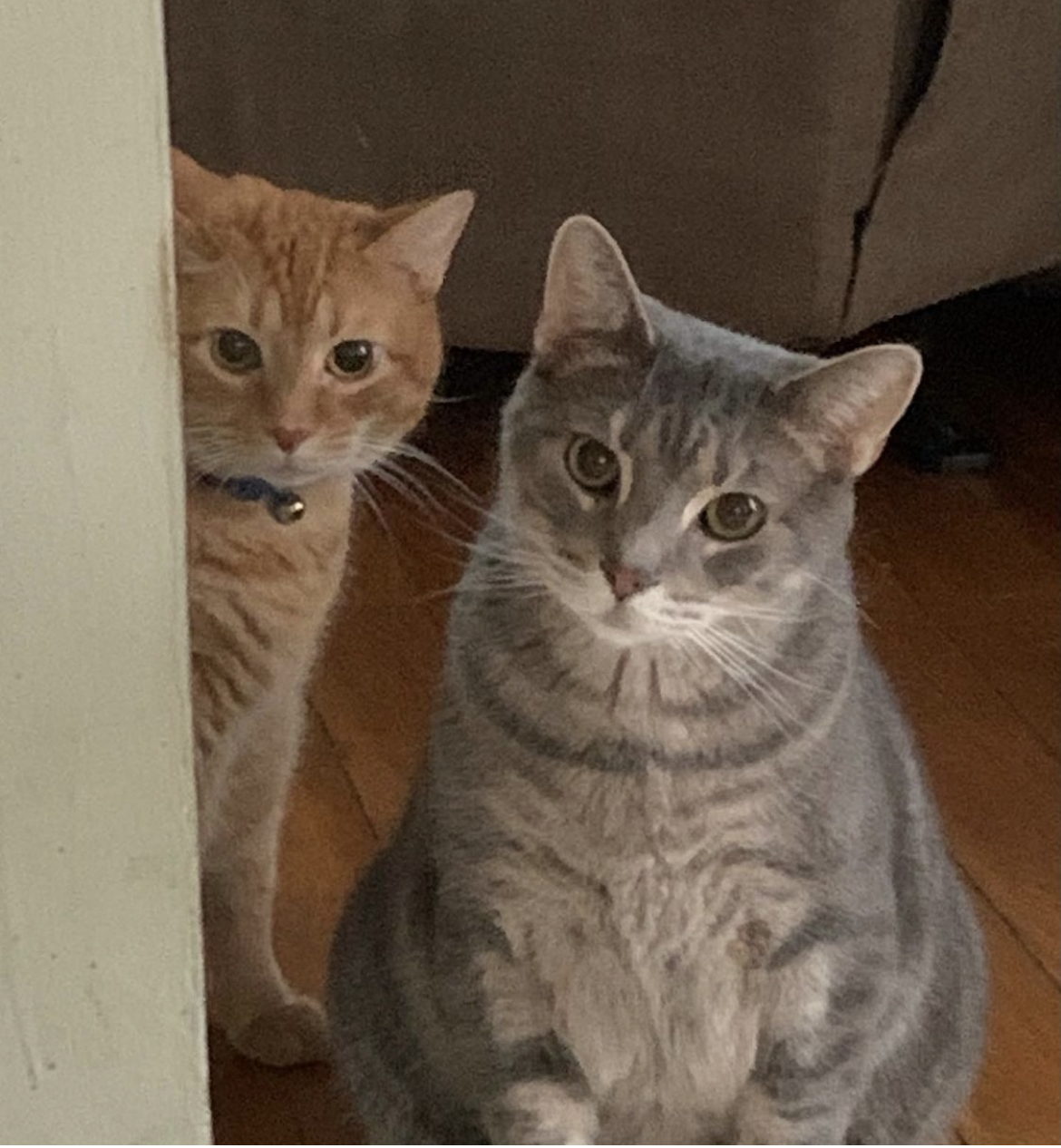 Benedict &amp; Arnold