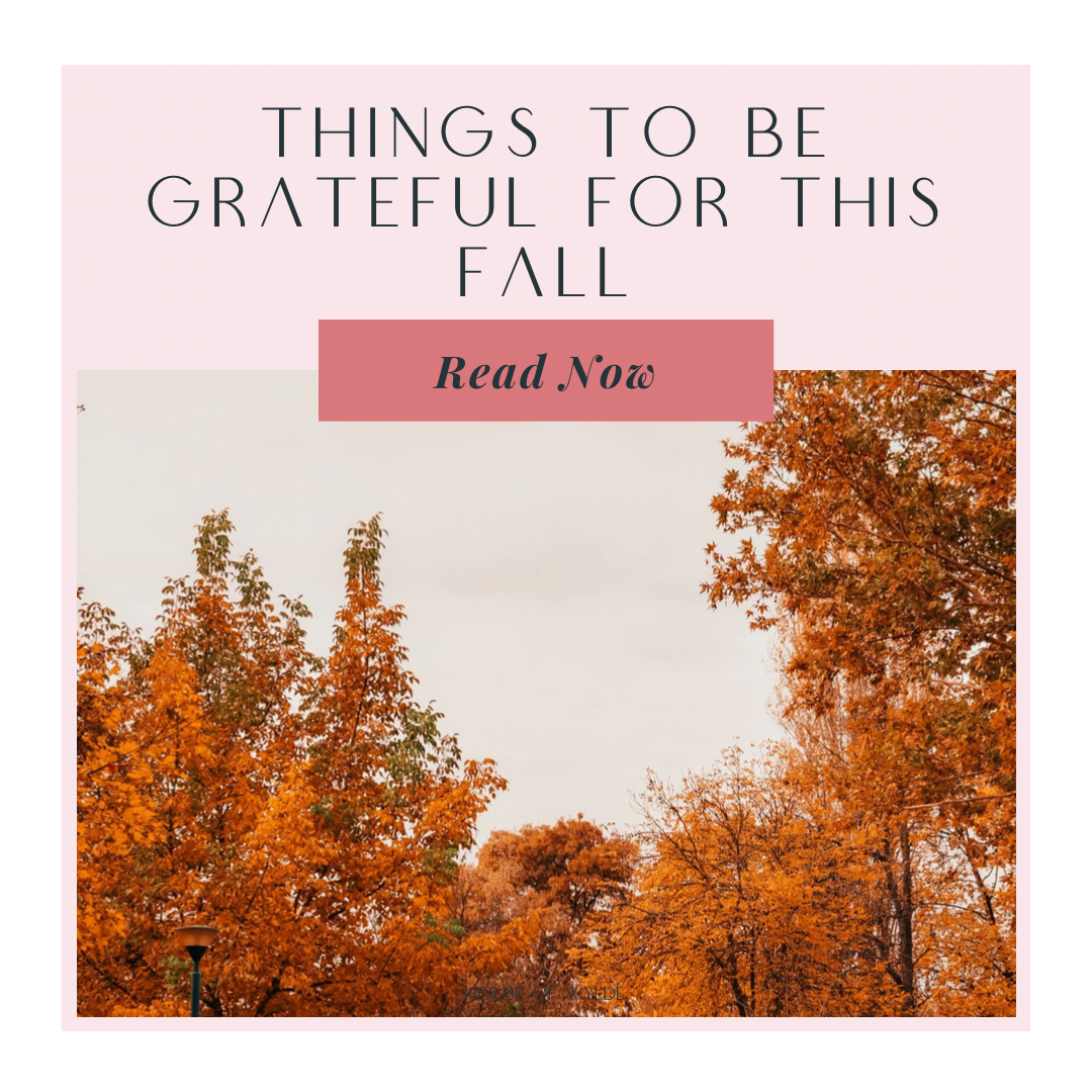 Things to be Grateful for this Fall