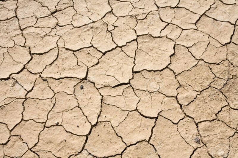 Parched Earth