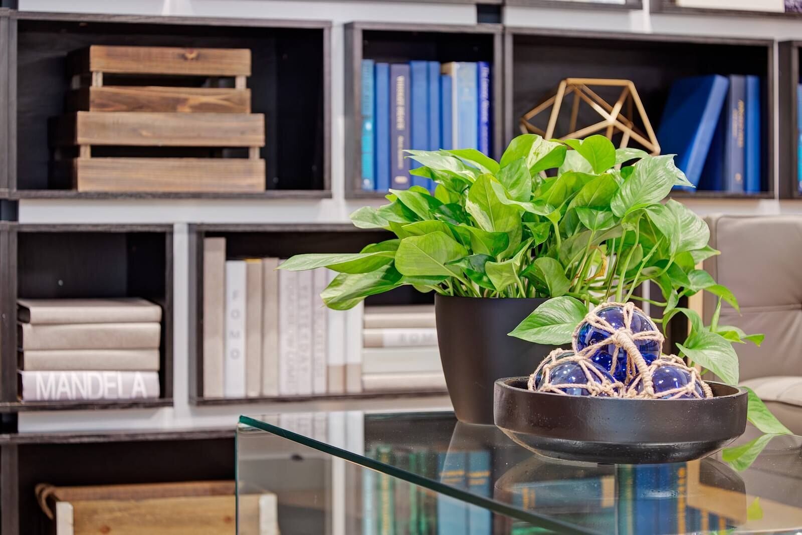 Home Staging vignette