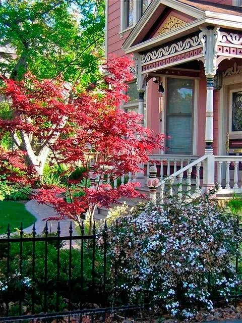 Los Gatos Victorian Paint Scheme Exterior Design.jpeg