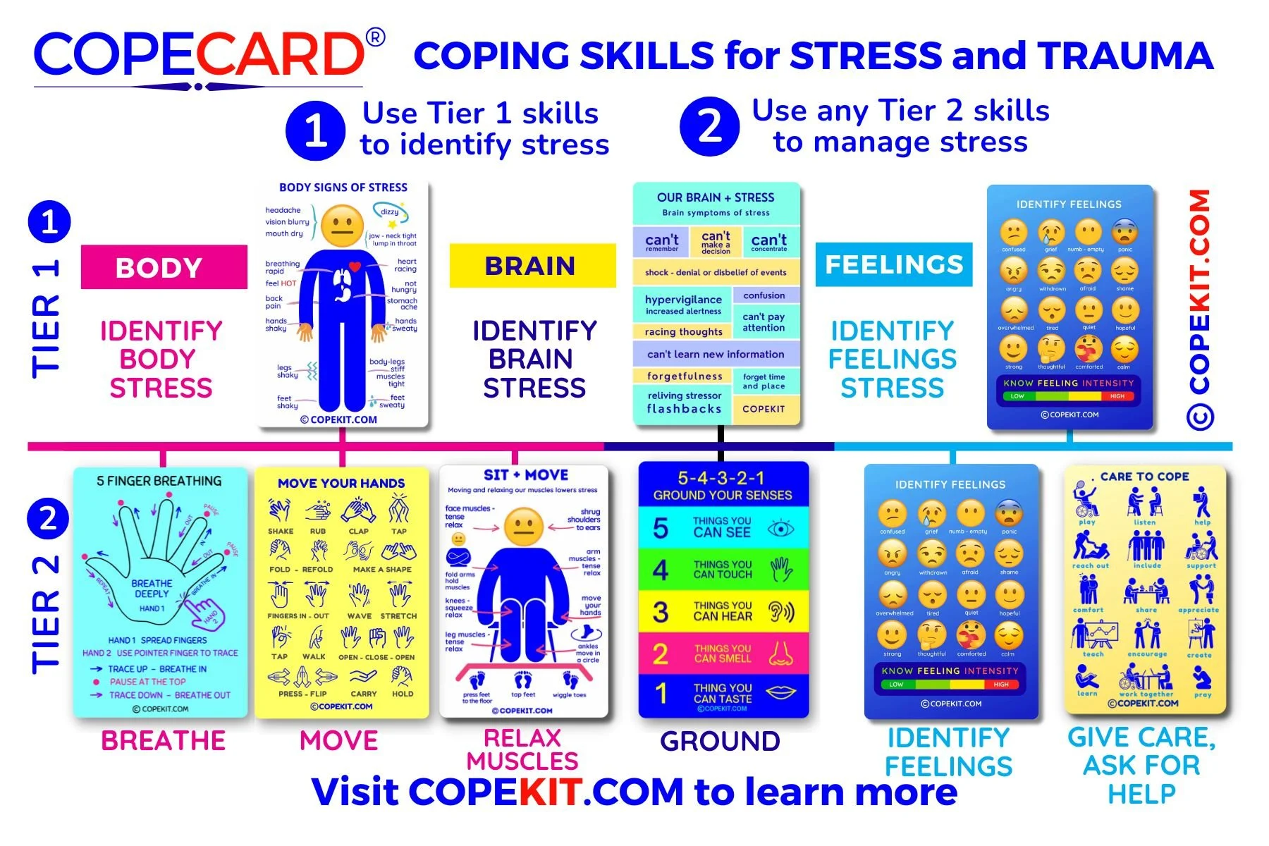 TRAINING CHART ENG SPN.jpg