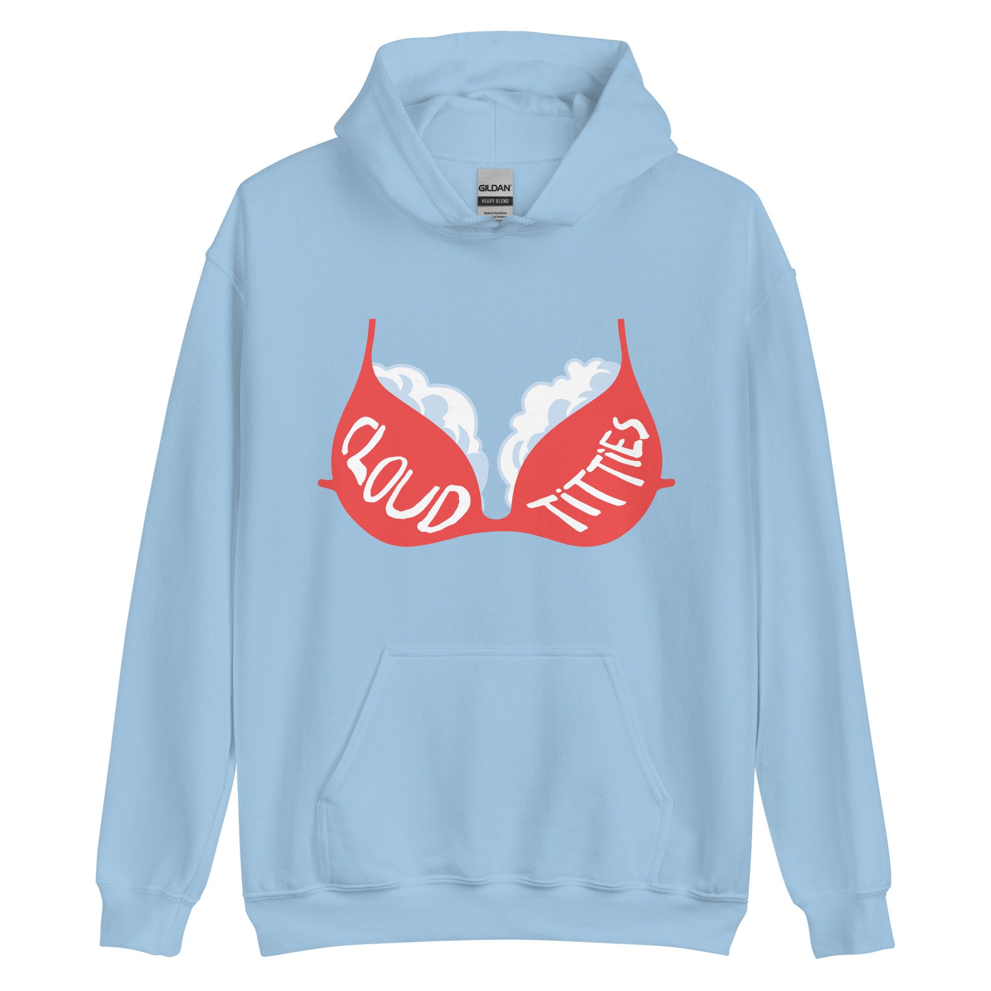unisex-heavy-blend-hoodie-light-blue-front-697eda1f265a2.jpg