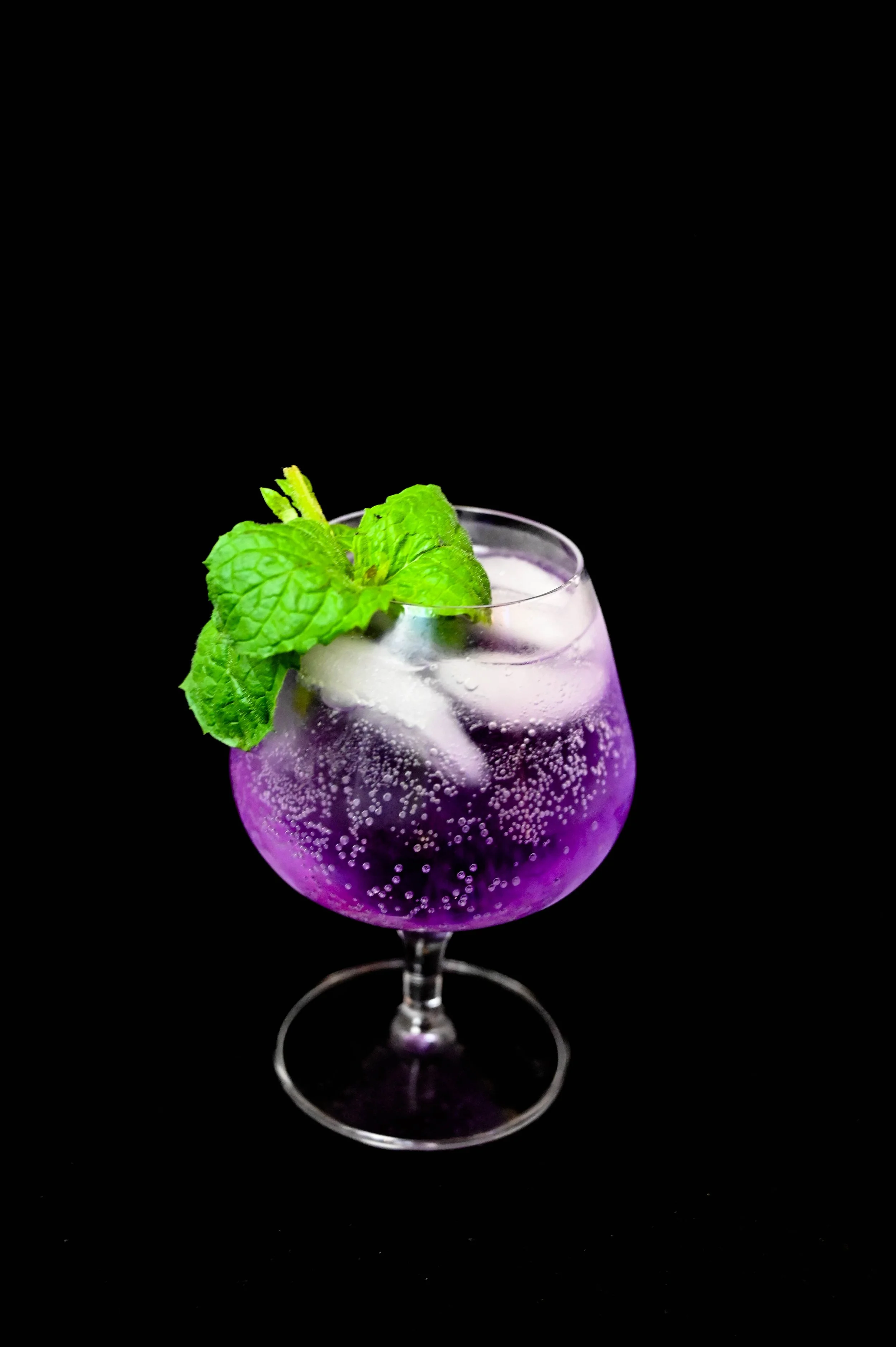 Elderflower Gin and Tonic Recipe — Cocktails in the Jungle