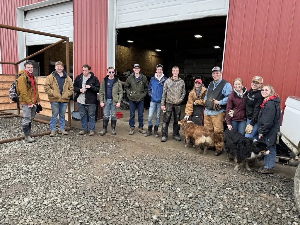 Volunteers at the ranch