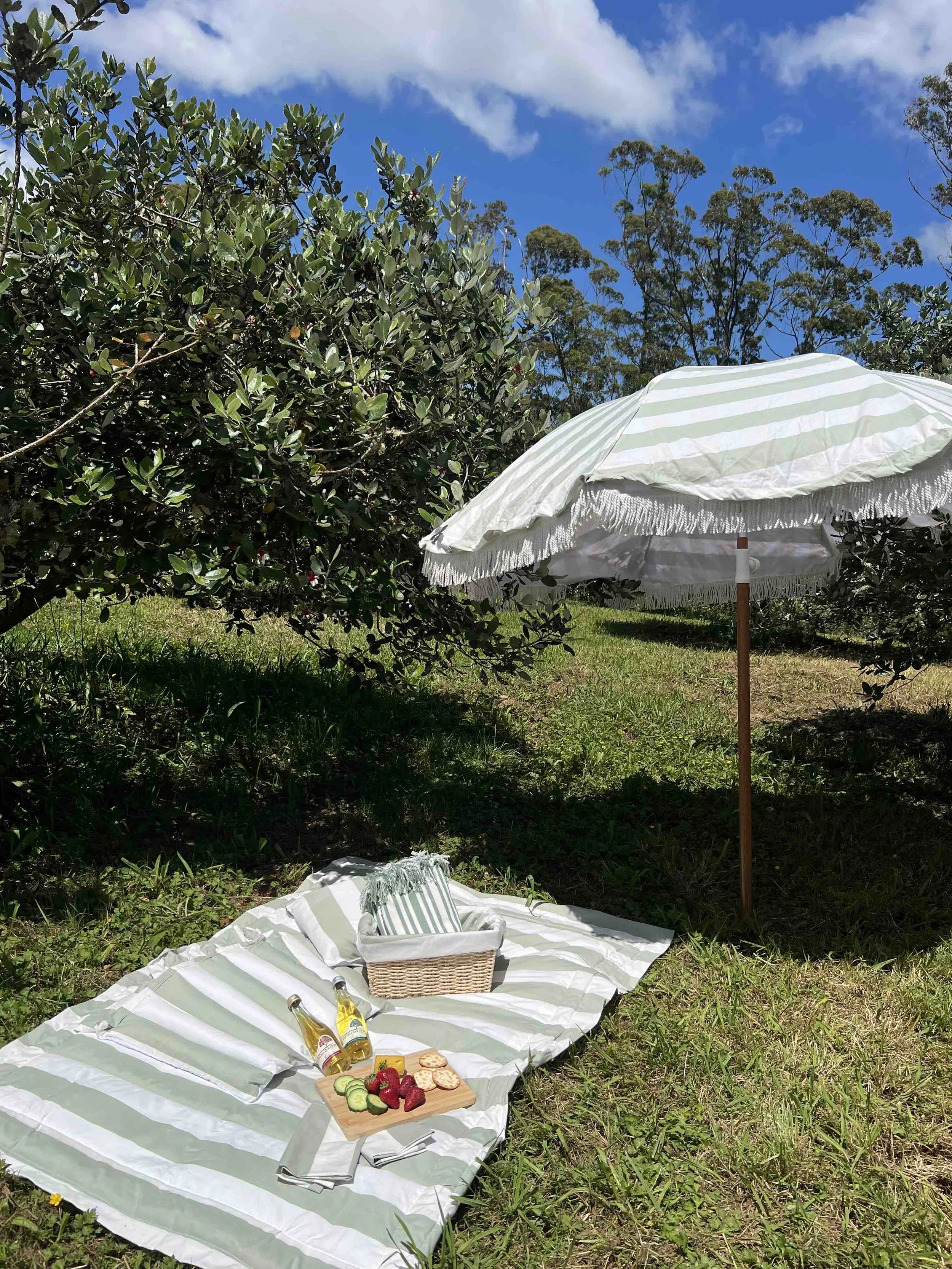 IMG_4910 leaf SML.jpeg