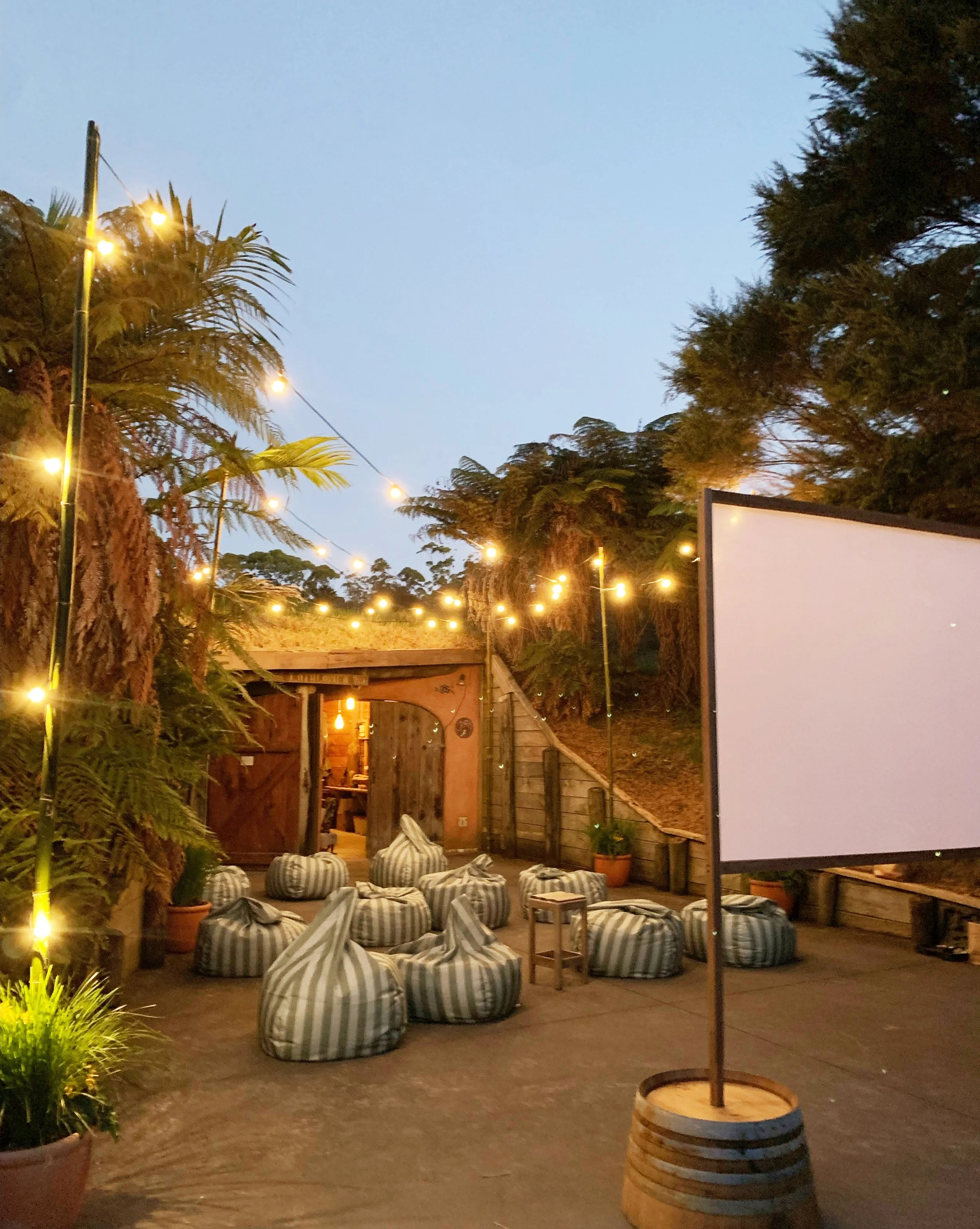 Outdoor Cinema