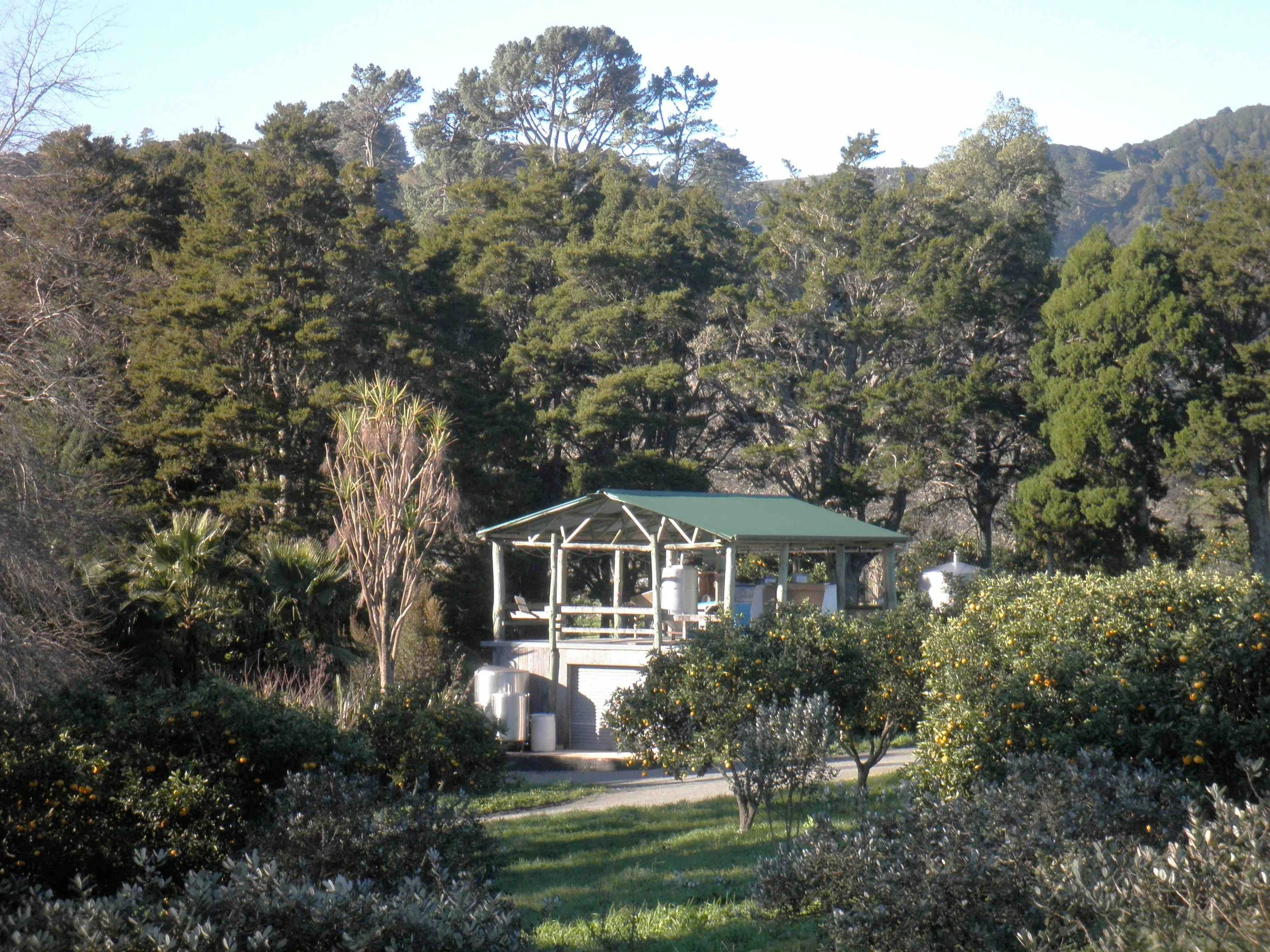 colour Lothlorien Winery Building sml 2.jpeg