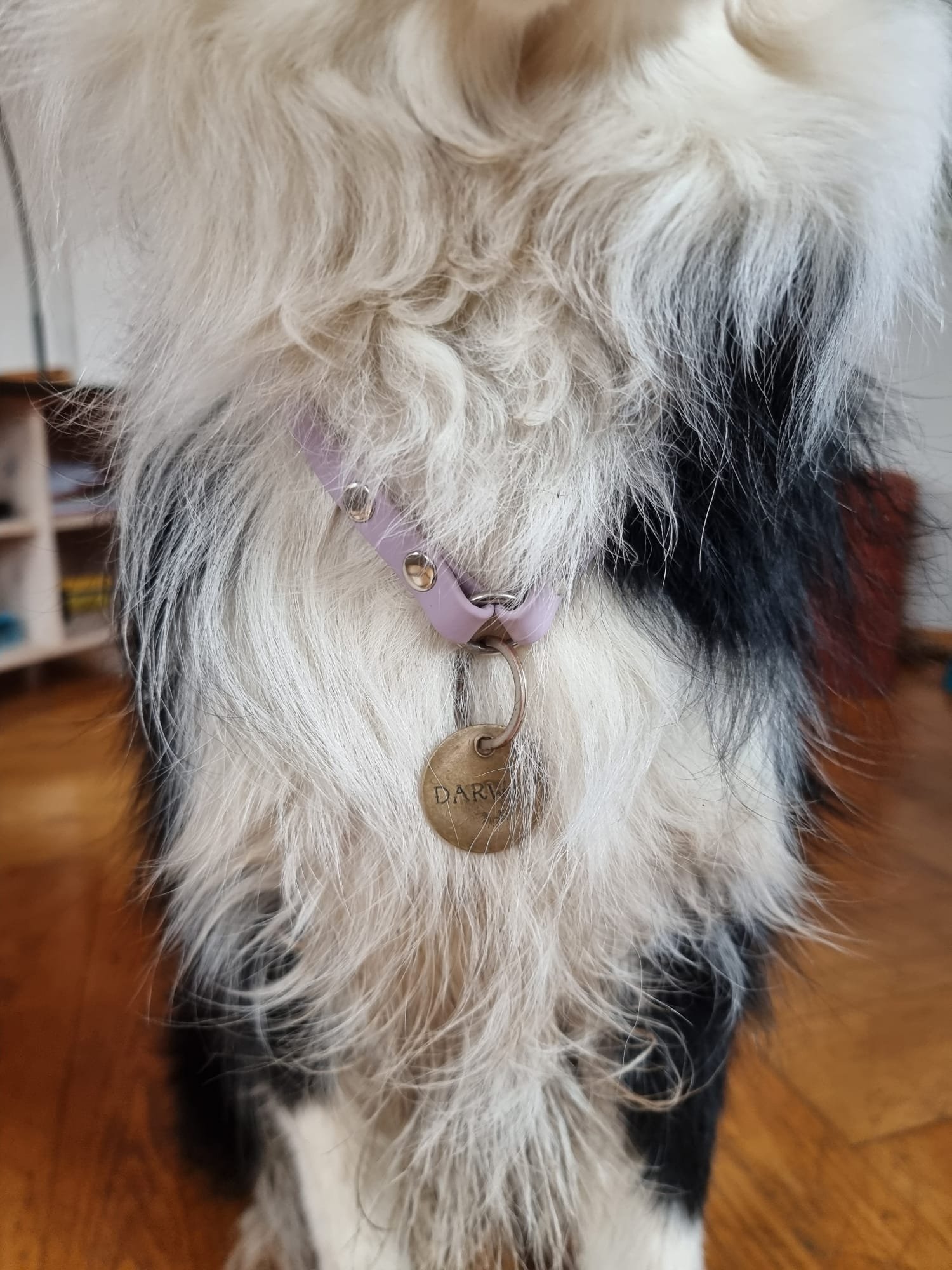 WhatsApp Image 2026-03-18 at 14.18.48.jpeg