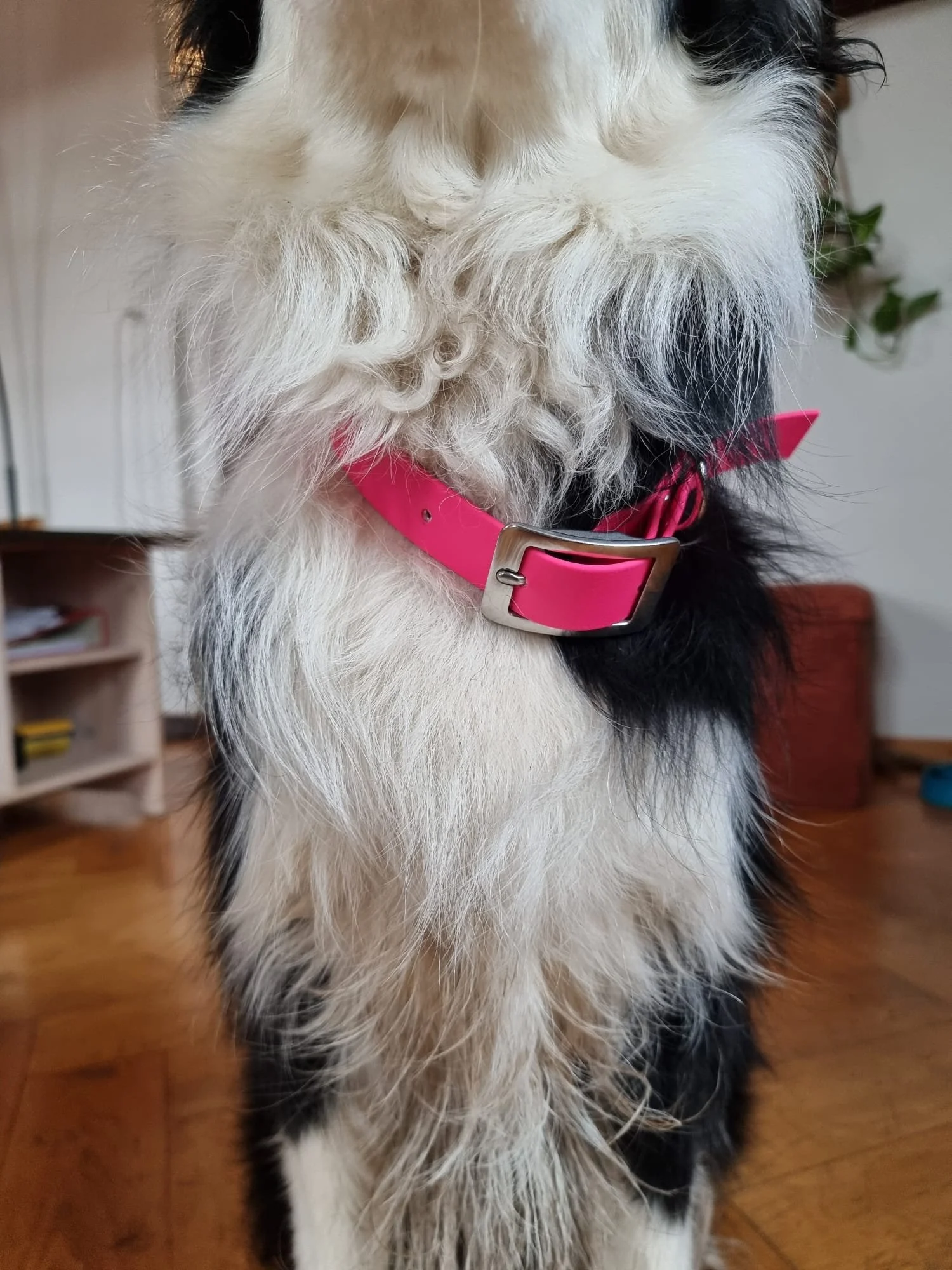 WhatsApp Image 2026-03-18 at 14.18.48 (1).jpeg