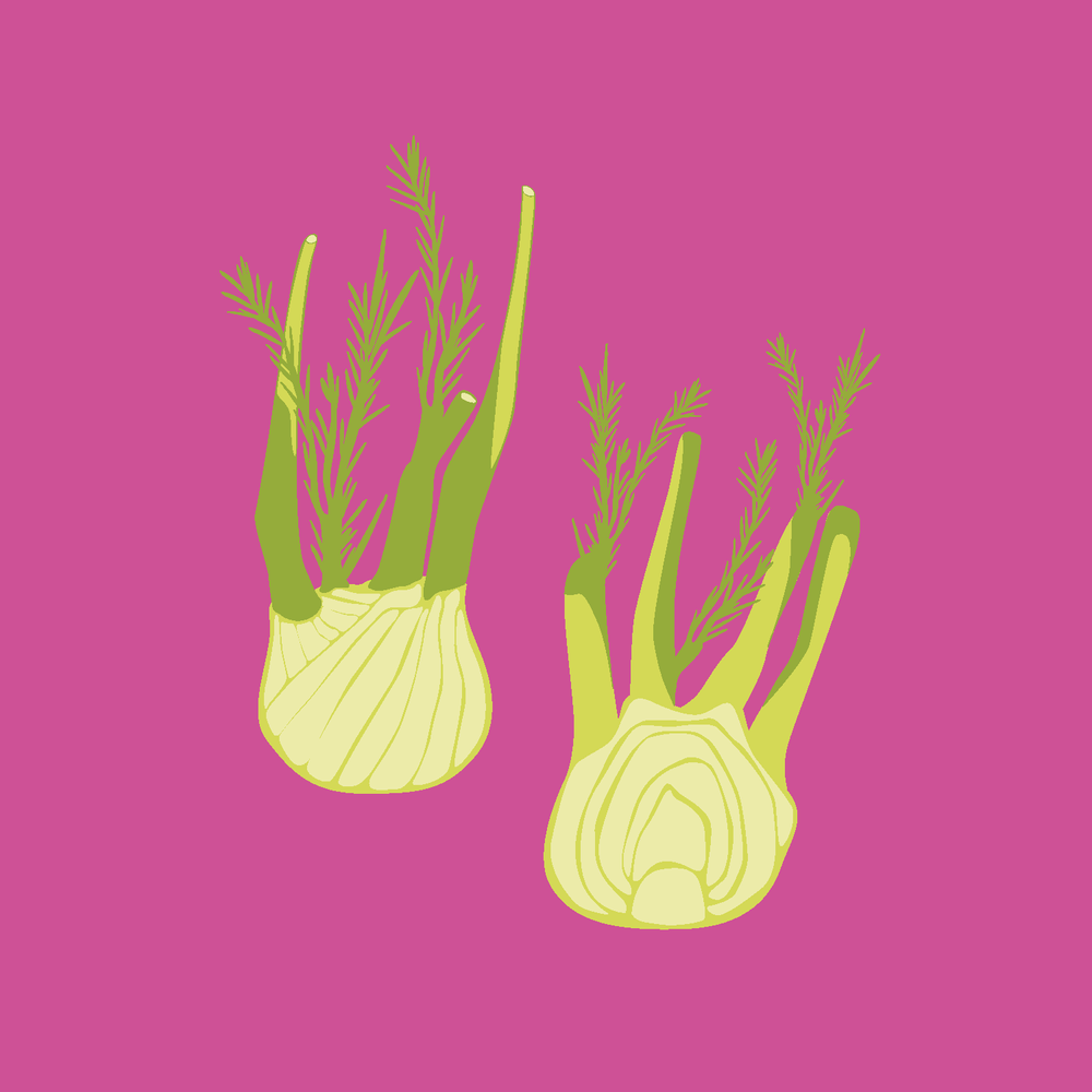 ABOUT — Fennel Cooking Studio