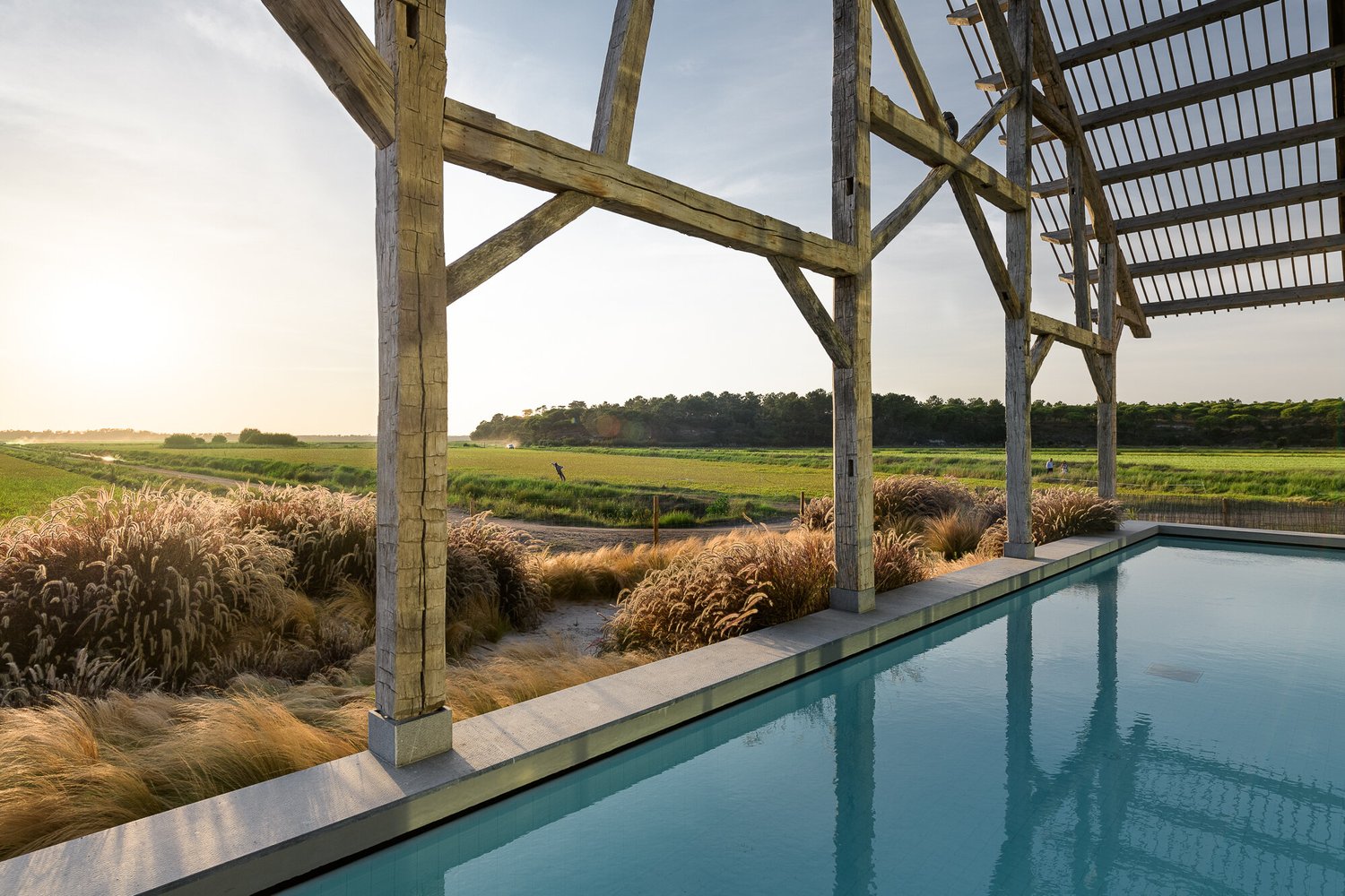 The lap pool under a rough timber frame at sunrise, tall grasses along its edge and the rice fields running flat to a treeline beyond.
