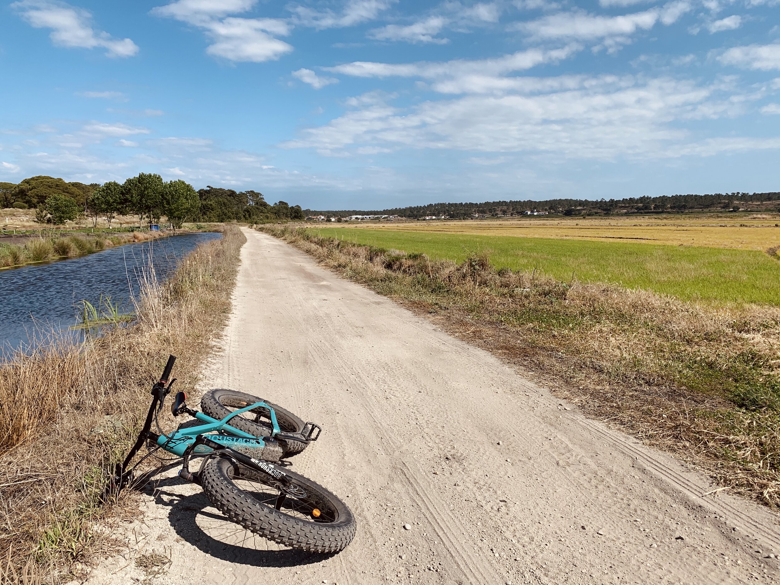 image-sustainability-bikes.JPG