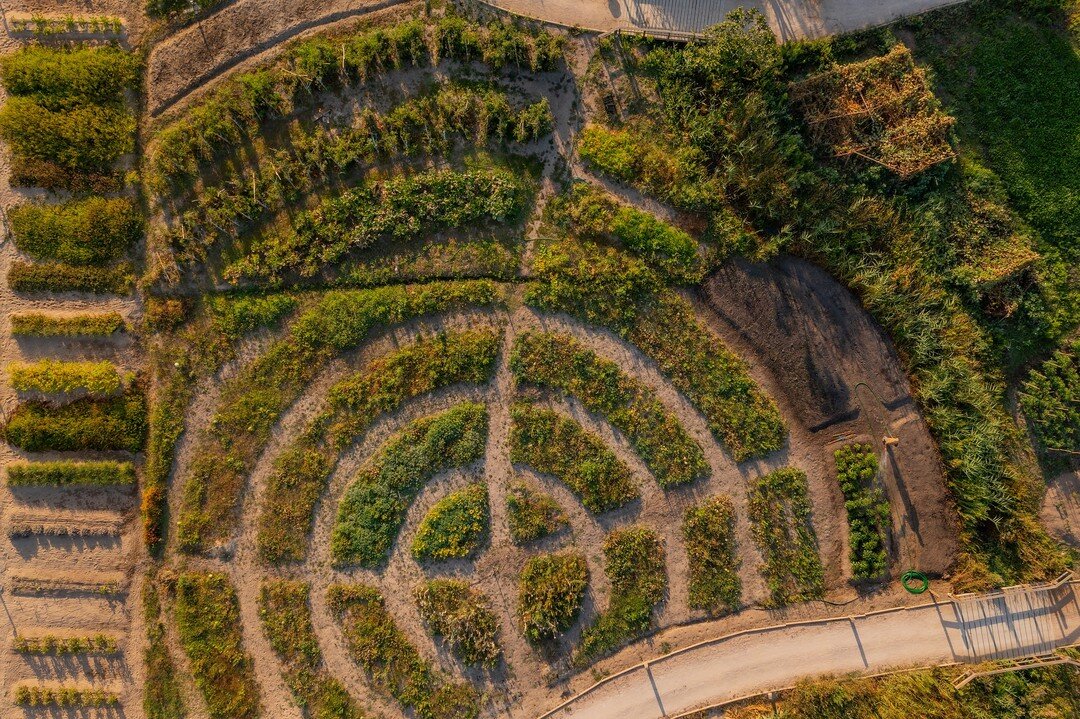 Le labyrinthe le plus frais et le plus délicieux dans lequel vous pourrez vous perdre ? Notre potager interne. Ne manquez pas l'occasion de le découvrir lors de votre prochaine visite. 
.
.
O labirinto mais fresco e delicioso onde alguma vez se perderá ? A nossa Horta local.