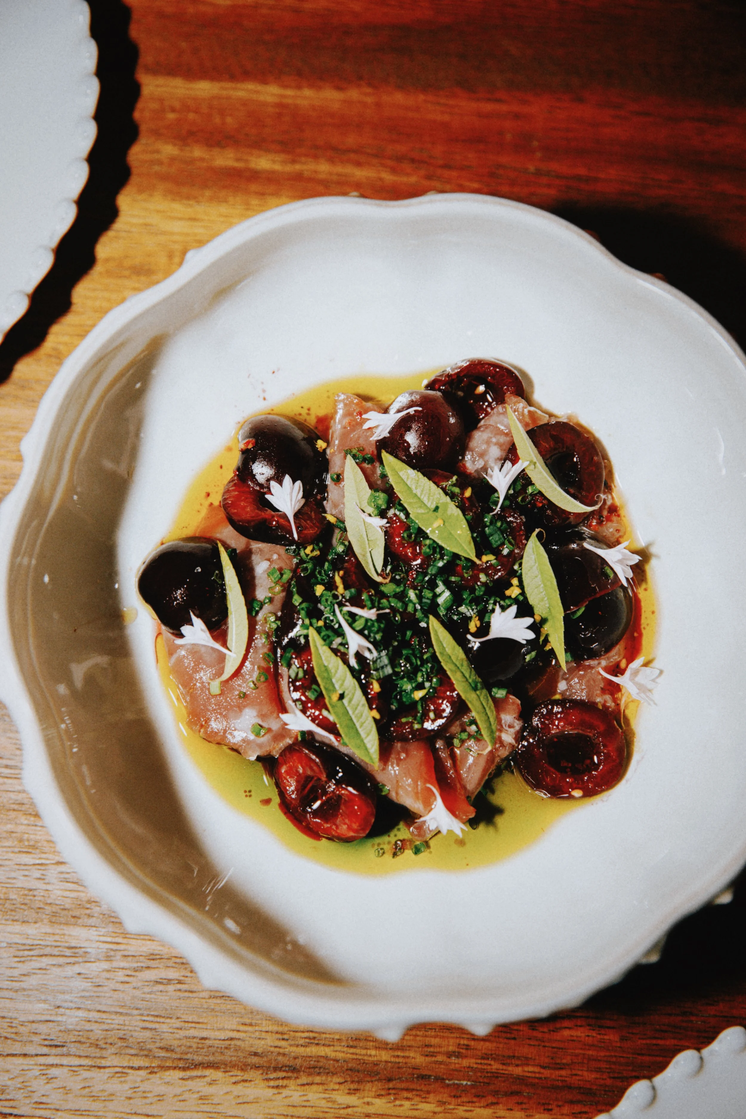 @Vita Sushkova_Junho 2025_Tezza-4605.jpeg