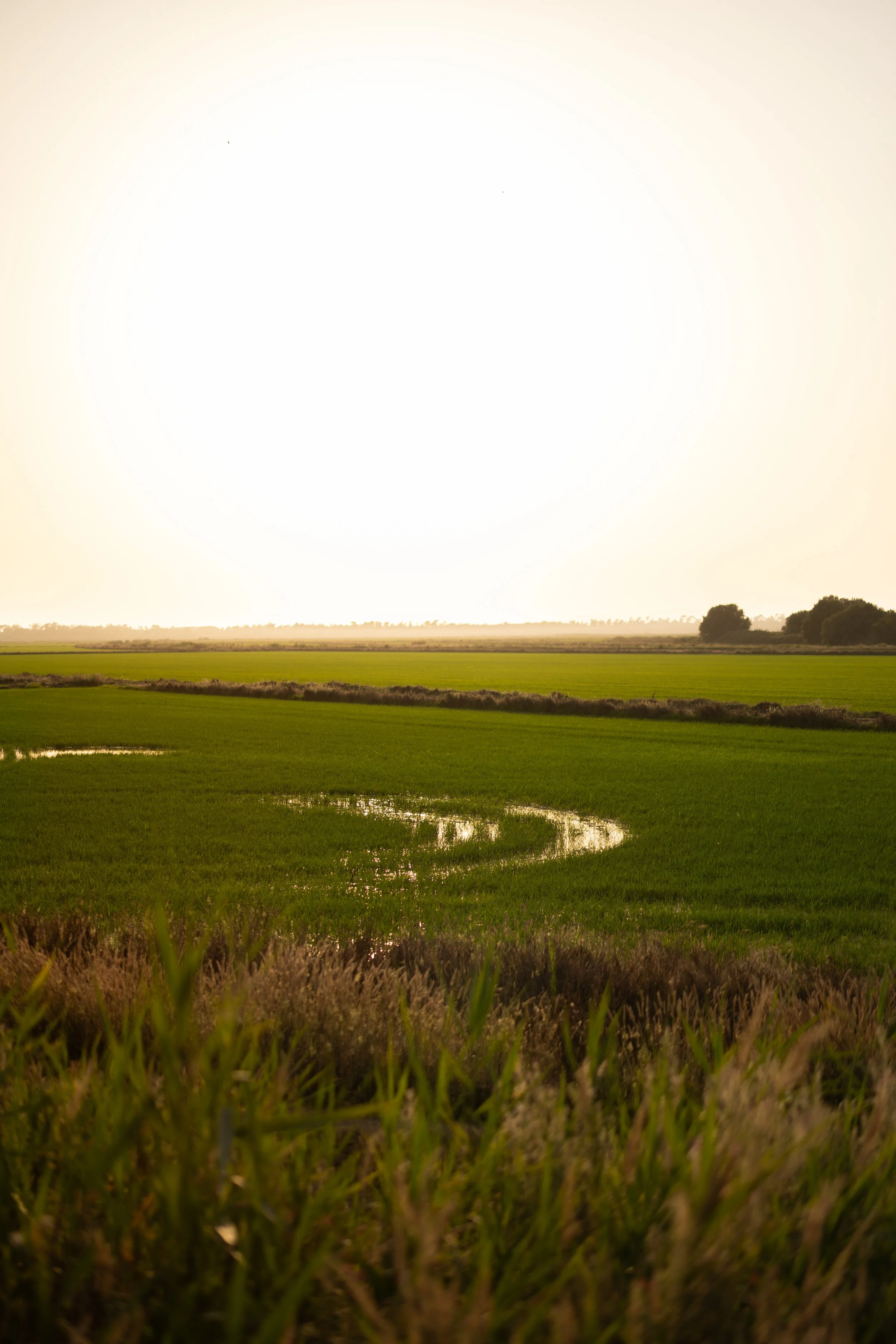 @nastia_d_July 2025_photo-81.jpg