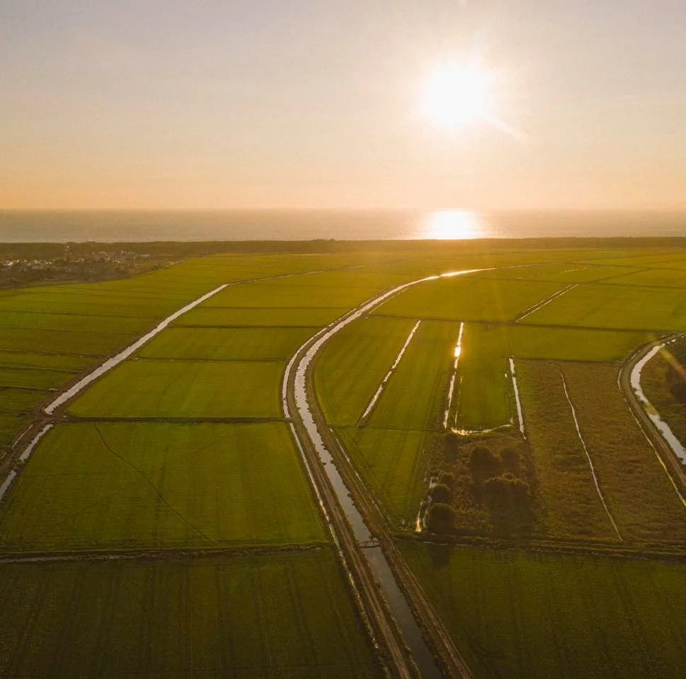 Wellness, as we see it, is never just one thing. Movement and rest. Nourishment and knowledge. Nature and time. Different paths towards the same idea: living better. From the 23 to 25 of October, the Academy in the Rice Fields Retreat is an opportuni