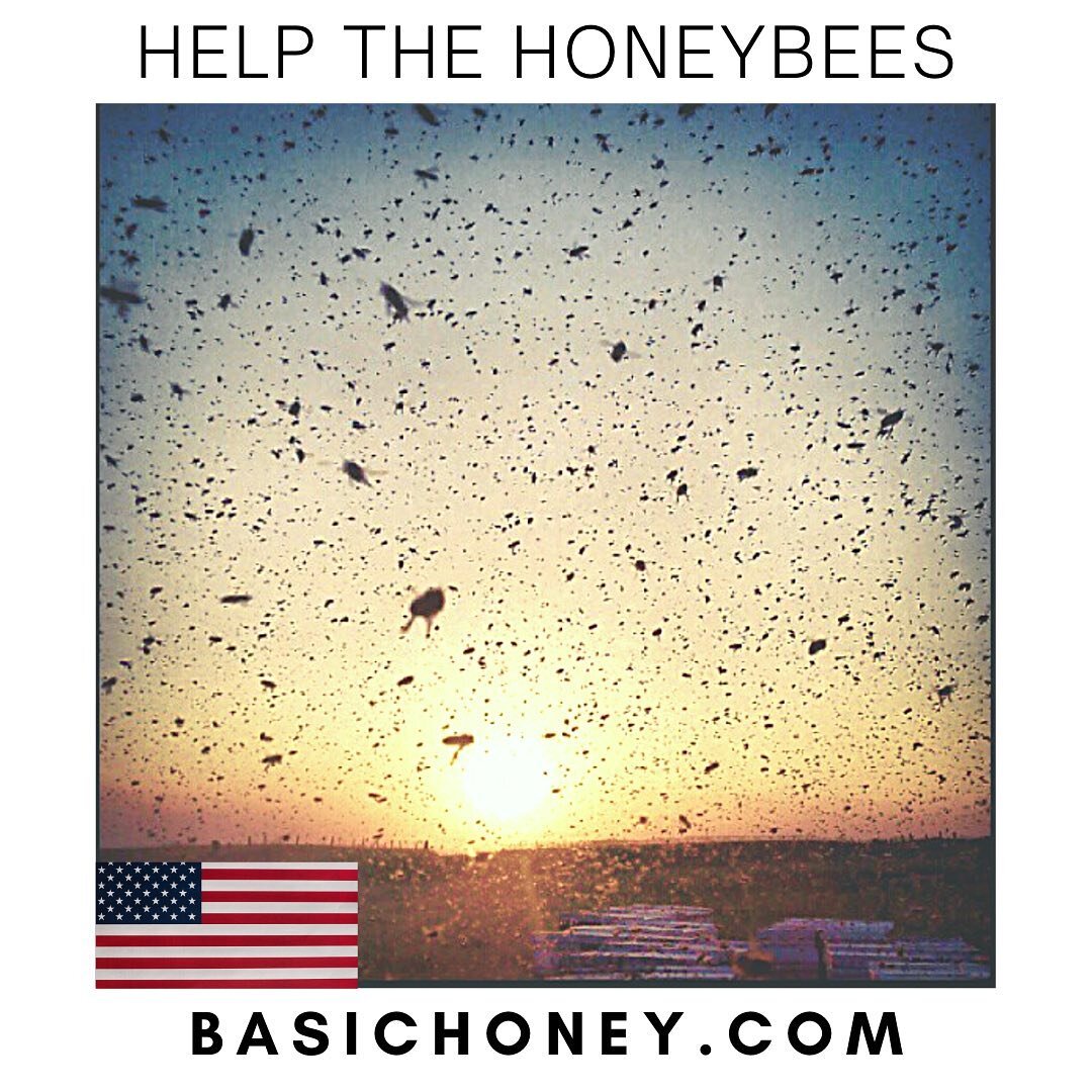 Support your local beekeepers who support local bees ❤️

#Foodie #FoodPorn #Honey #Beekeeper #Food #FoodLove #FoodLovers #Honeybees #Beeswax