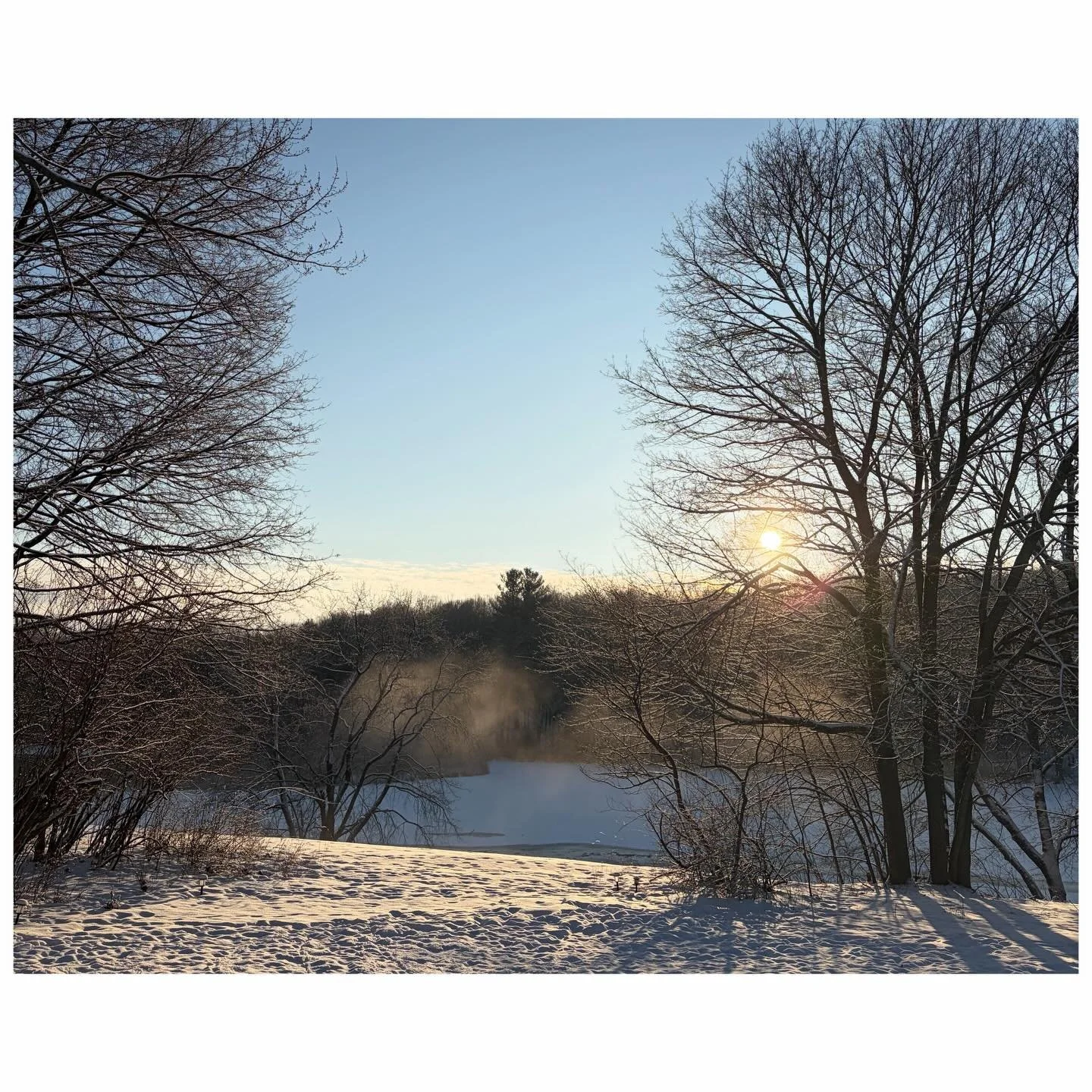 January | 2026 
&ldquo;This dewdrop world&mdash;
Is a dewdrop world,
And yet, and yet&hellip;&rdquo;
- Kobayashi Issa