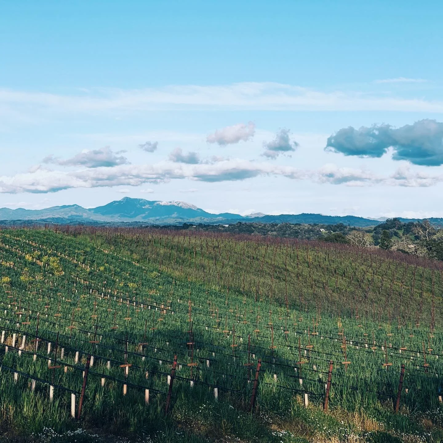 I know that we&rsquo;re 11 days into Spring, but it&rsquo;s taken a long time to dig out of winter. The longest ever, maybe?

In review, it wasn&rsquo;t so bad&hellip; February brought a getaway to Sonoma with old friends + gorgeous scenery and some 