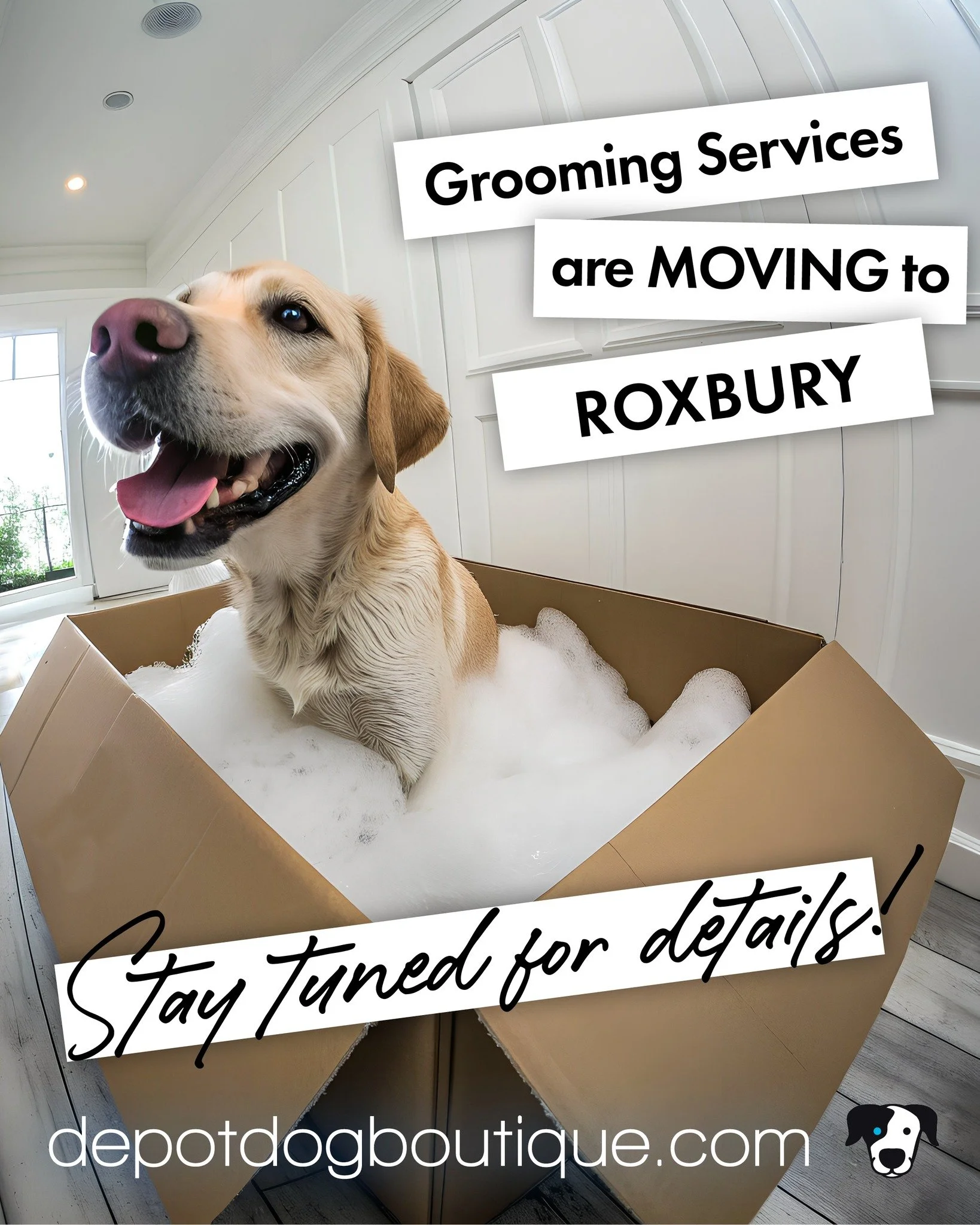 BIG NEWS! Our grooming services are heading to Roxbury!

The new spot includes a waiting play area and a few must-haves from our retail collection. 

Opening details coming soon!

#depotdog #petstore #petshop #petboutique #dogfood #dogtreats #petsupp