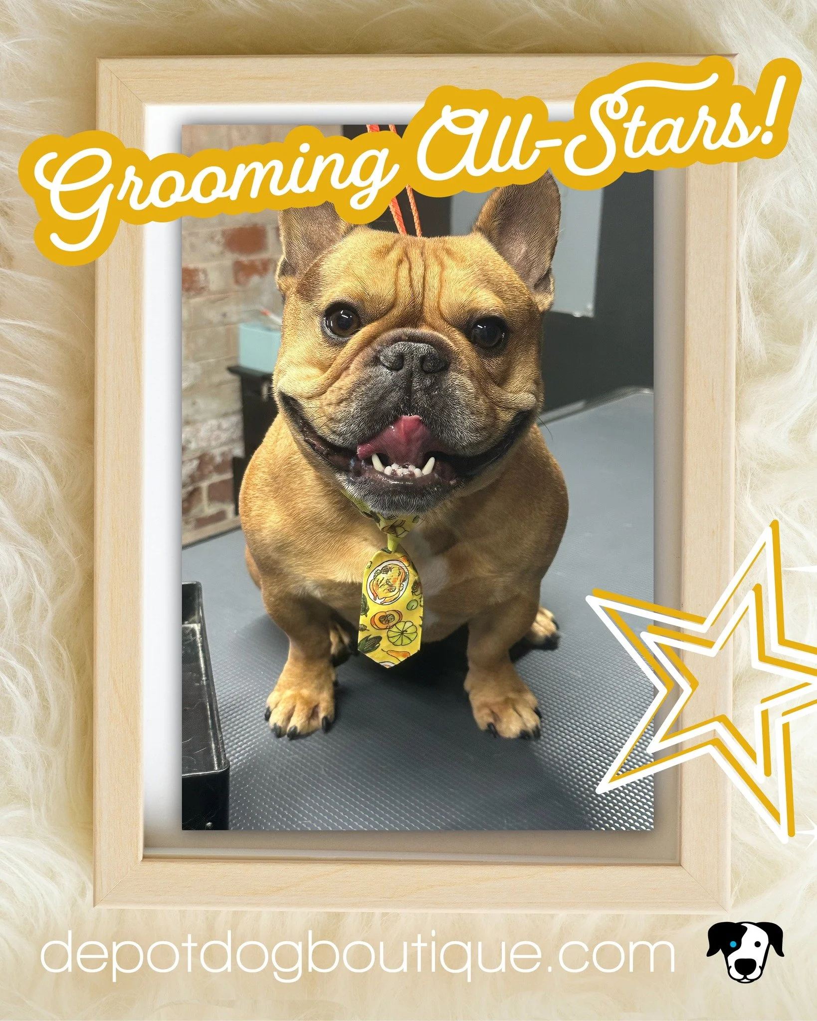 We&rsquo;re incredibly proud of the exceptional grooming results our Depot Dog team achieves every day.

Here we are happy show off one of our Grooming All-Stars&ndash;all dressed up for the camera!

And BIG NEWS! Our grooming salon is moving to Roxb