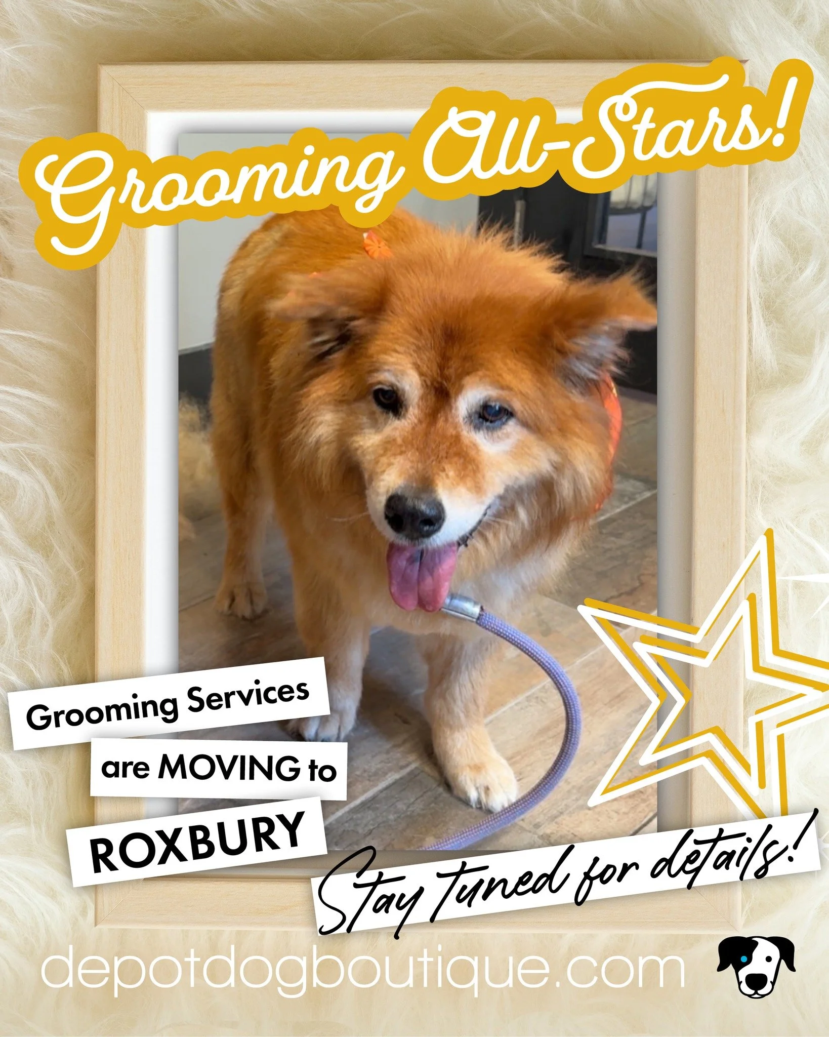 Our team consistently delivers exceptional grooming results, and we couldn&rsquo;t be prouder. Shown here is one pup with one gorgeous healthy coat! 

Exciting news! If you have not heard, we&rsquo;re moving our grooming salon to Roxbury. And our Lit