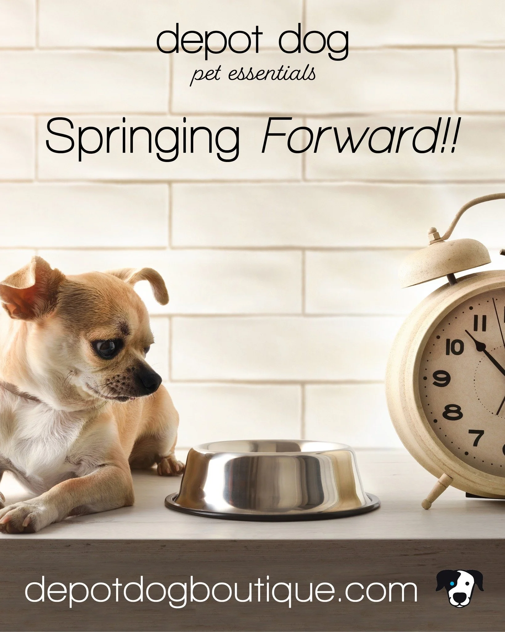 We&rsquo;re &ldquo;springing forward!&rdquo;. While we may lose an hour of sleep, our dogs still expect breakfast right on time. If your pup seems a little confused this week, you&rsquo;re not alone! 

It&rsquo;s also the perfect time to freshen up t