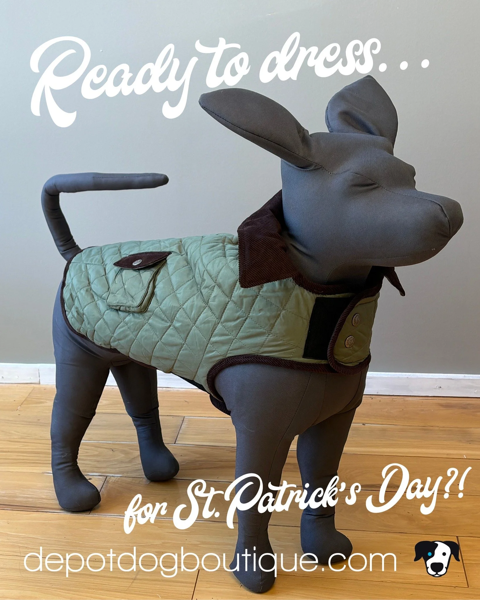 St. Patrick's Day is almost here!! To celebrate we are bringing out the green! Come by our shop and see what more we have in store!

#depotdog #petstore #petshop #dogfood #dogtreats #petsupplies #washingtondepot #petgrooming #petcare #petwellness #do