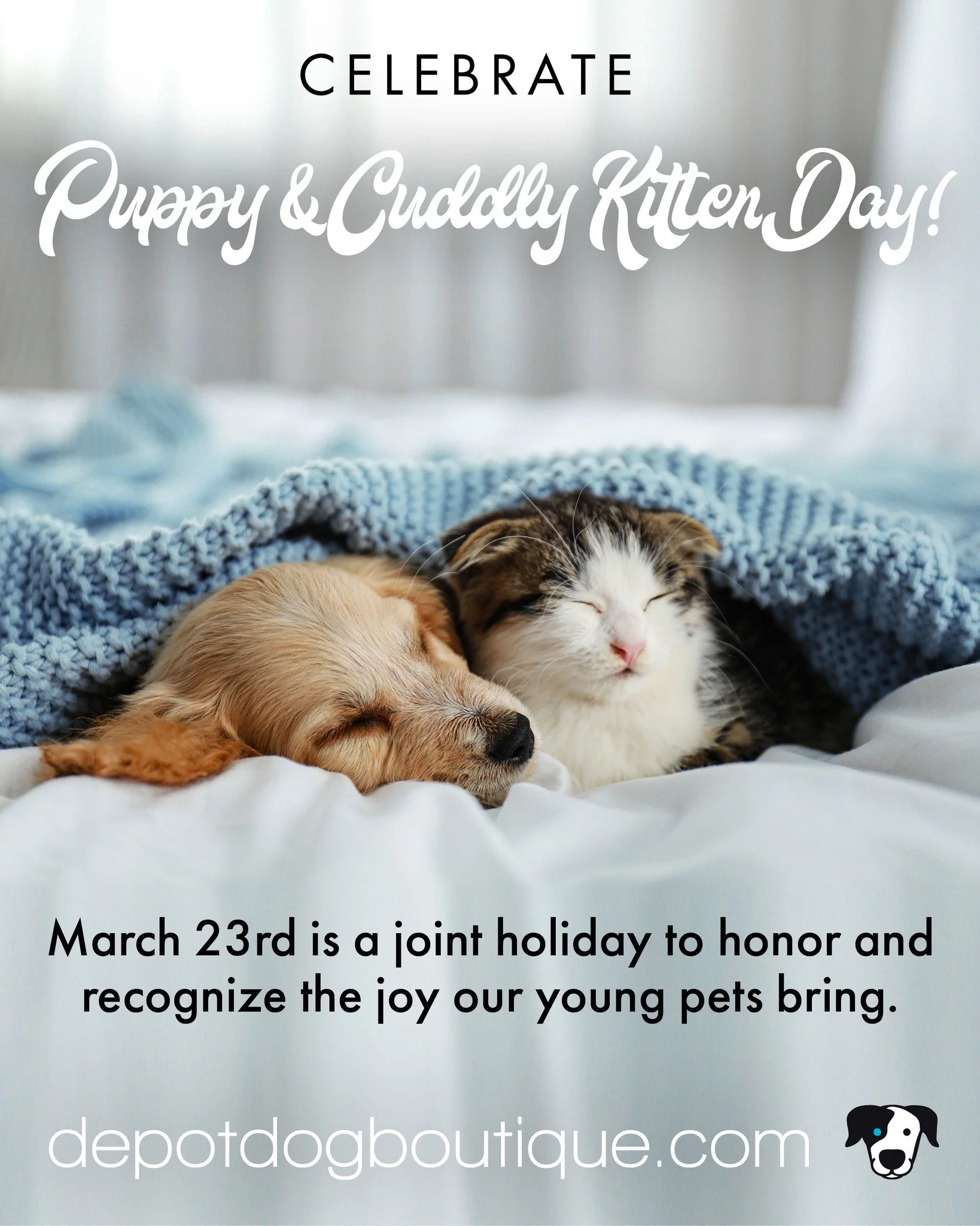 It's Puppy Day and Cuddly Kitten Day! March 23rd is a joint holiday to honor and recognize the joy our young pets bring. 

What can you do? 
&bull; adopt a pup
&bull; support an animal shelter
&bull; spoil your furry friend with treats and toys
&bull
