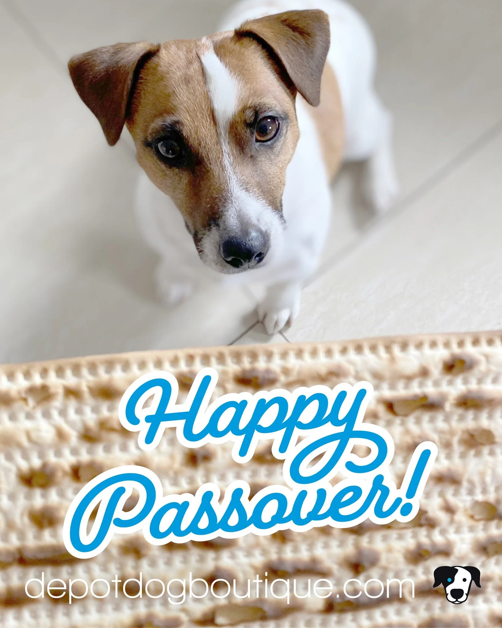 Happy Passover!