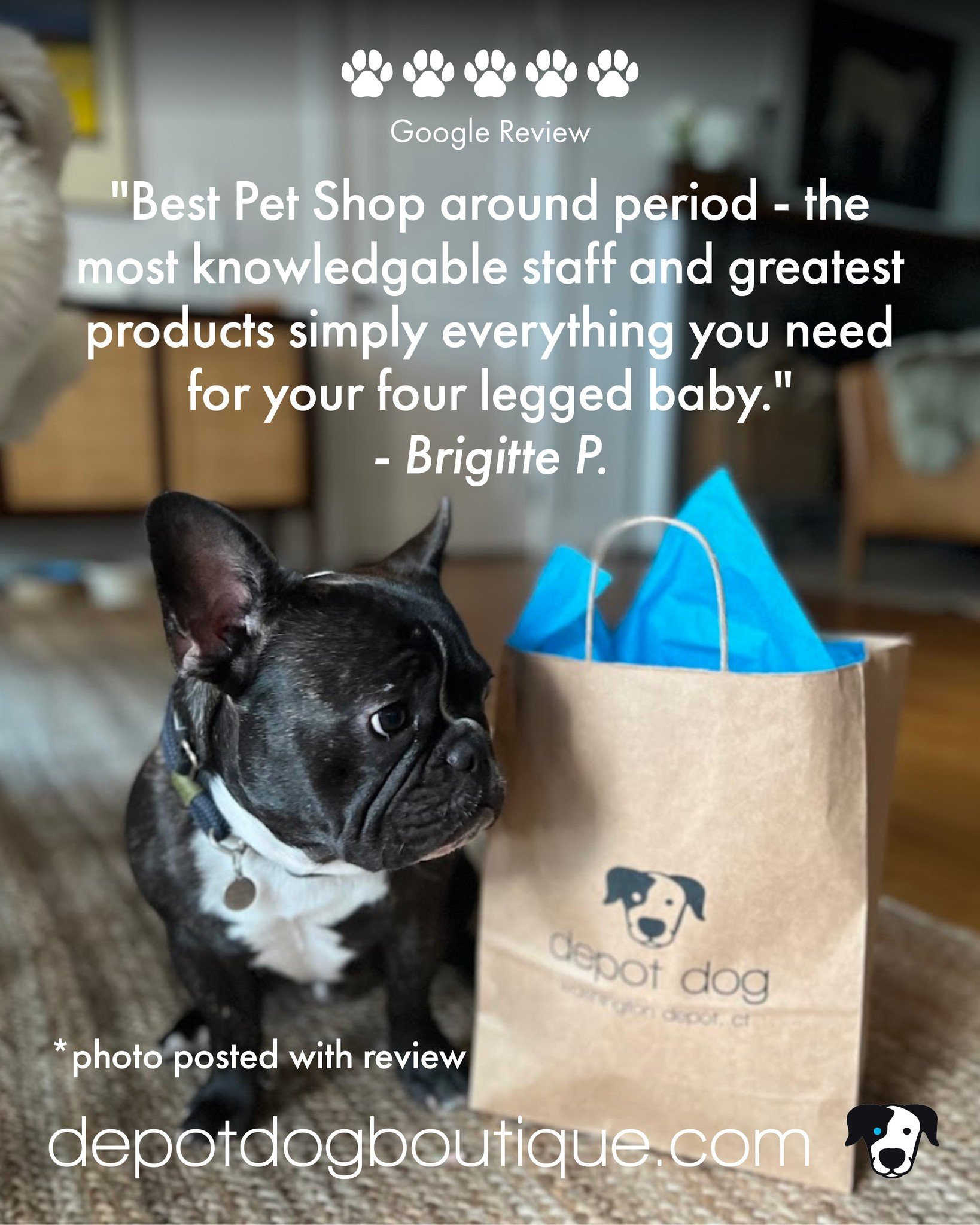 A big thanks to Brigitte P. for her Google Review!! 

With 5 starts, here's what she wrote: 

"Best Pet Shop around period - the most knowledgable staff and greatest products simply everything you need for your four legged baby." - Brigitte
