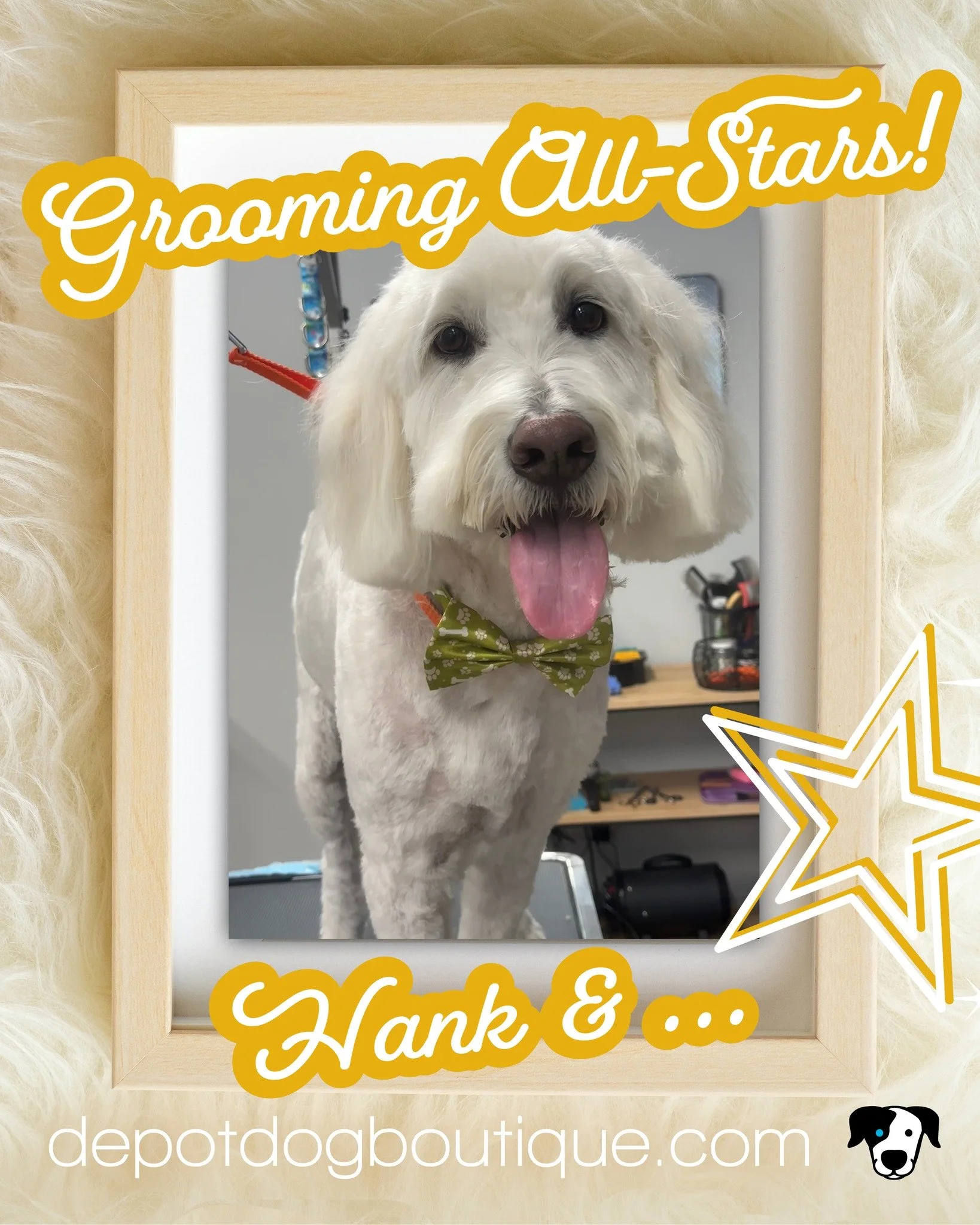 Pamper Your Pet Day calls for a little extra love&mdash;and who better to celebrate than our Grooming All-Stars, Hank and Riley! This sibling duo brings double the charm: Hank is a standard Goldendoodle, and Riley is a mini. As you can see, it&rsquo;
