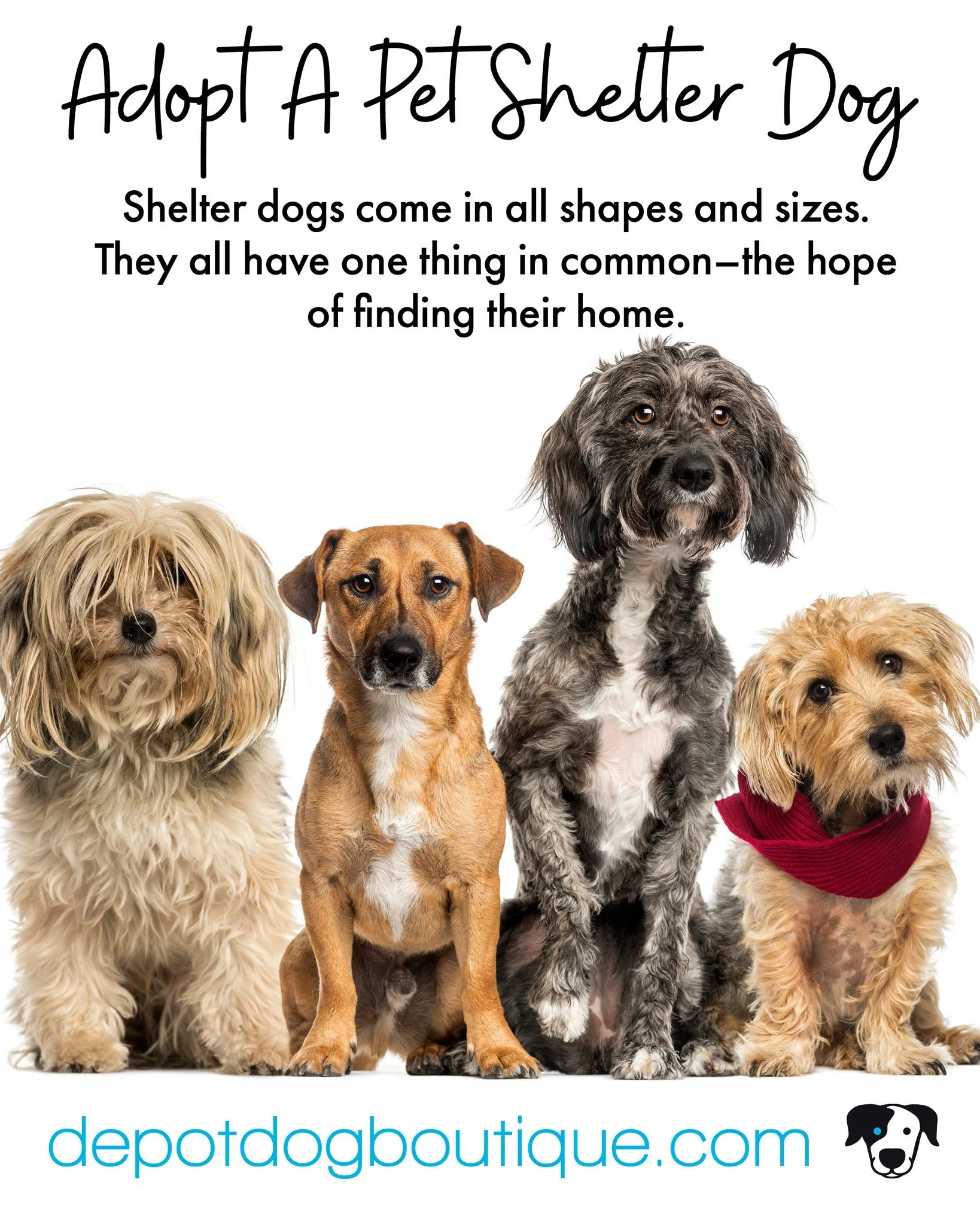 Adopt a pet shelter dog. Shelter dogs come in all shapes, sizes, and personalities&mdash;but they all share one thing: the hope of finding their person and home

Support your local shelter&mdash;because every dog deserves a second chance. 🐾

The Lit