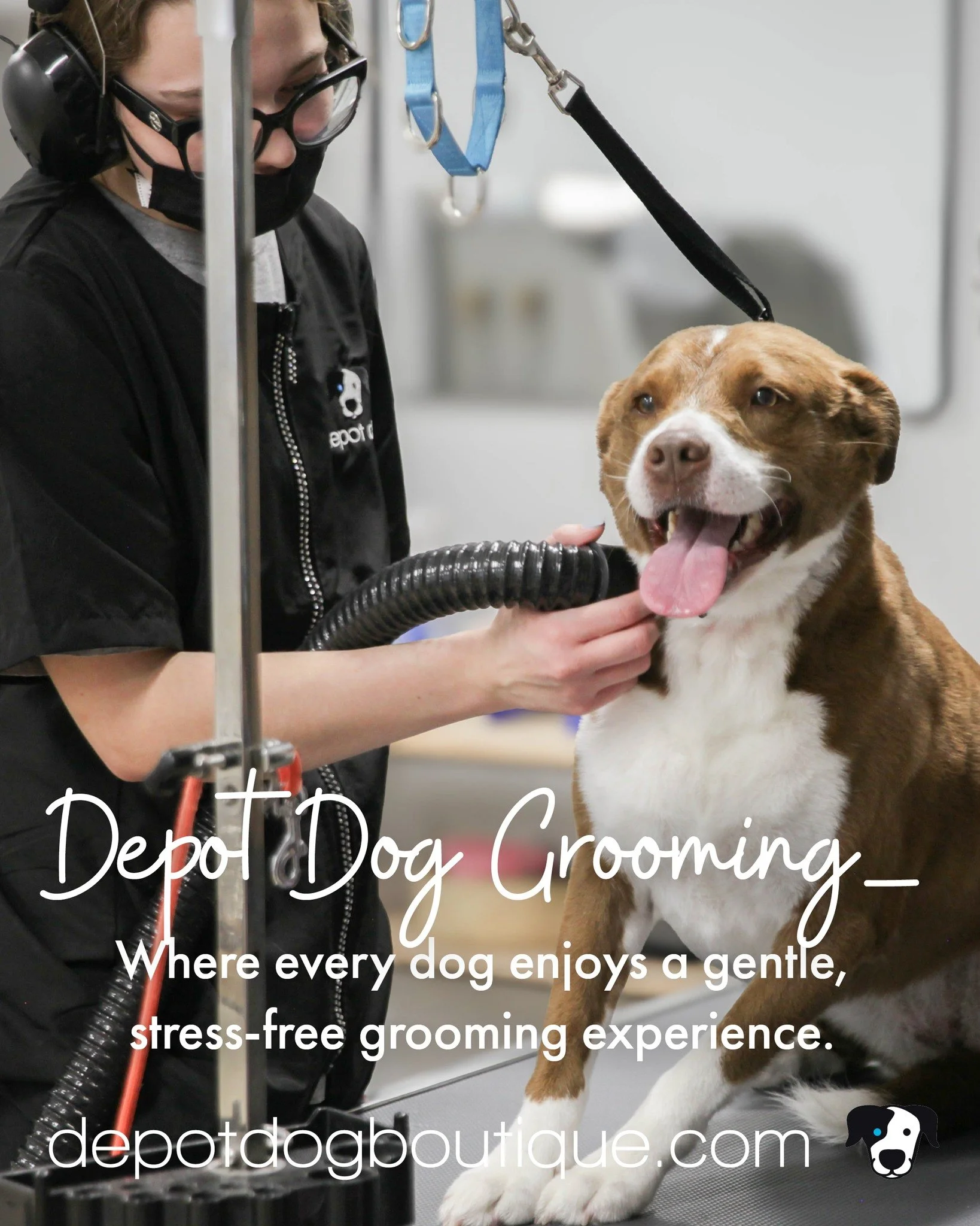 Grooming experience for the nervous ones!!

It's Dog Anxiety Awareness Week, what better way to care for you dog than a calm and gentle groom by our experienced team of groomers. 

Kayla, manager and lead groomer with a love for dogs, has over 20 cer