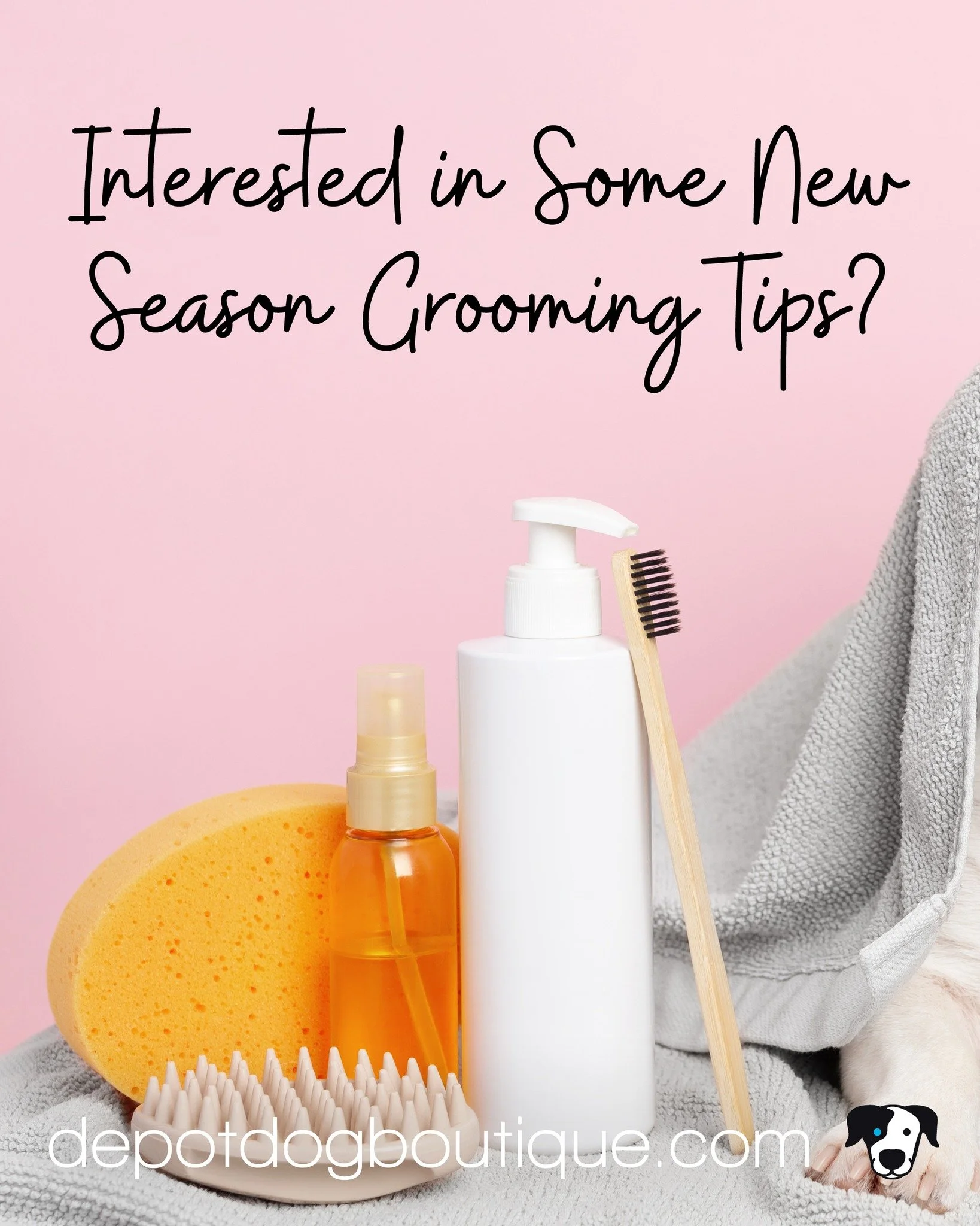 Our New Season Grooming Tips our here...

&bull;brush regularly
&bull;bathe every 3&ndash;4 weeks
&bull;wipe paws
&bull;check for ticks
&bull;clean the ears!

Need some support? We are here for you. For appointments call 860.717.4577 or email groomin