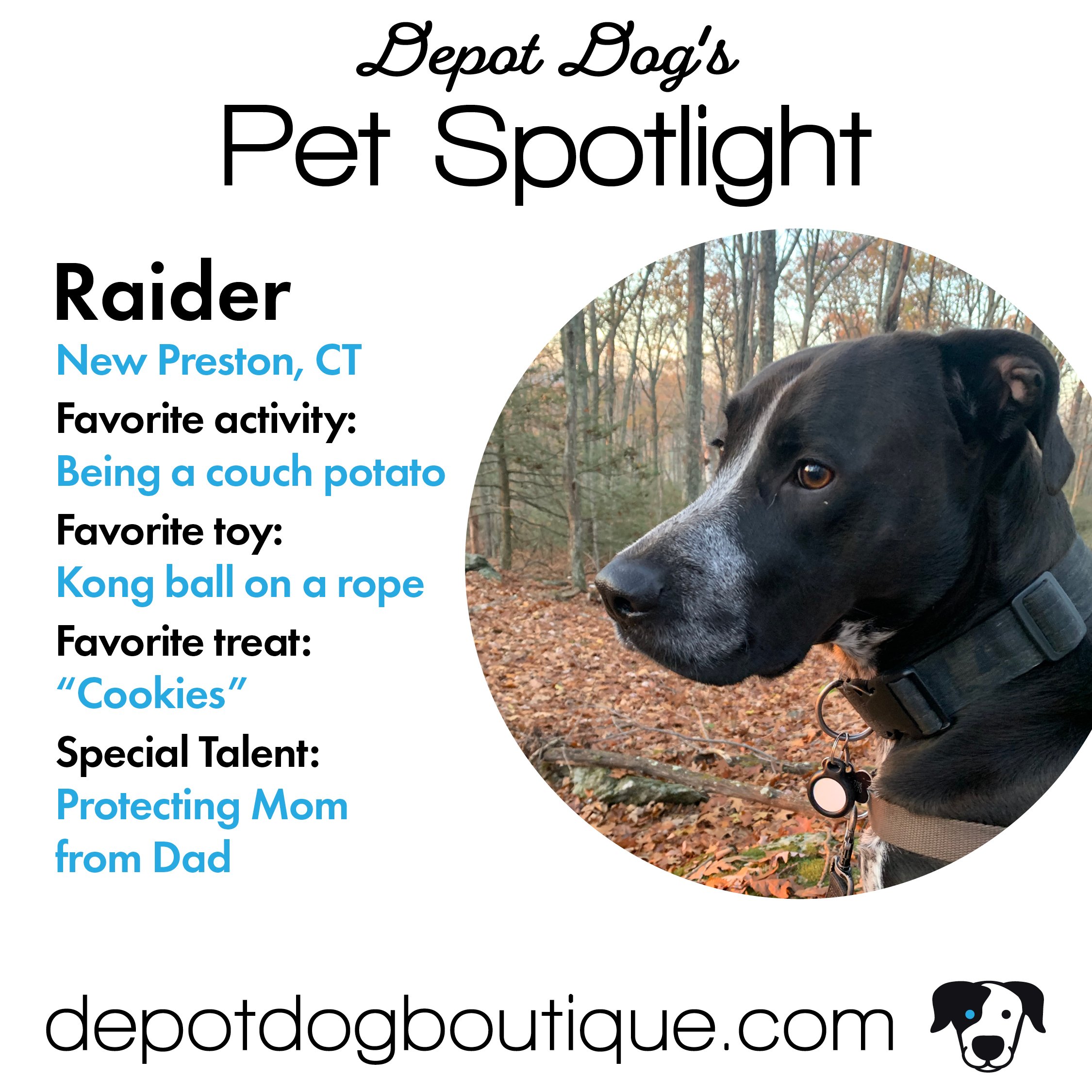 DepotDog-spotlight-web-raider.jpg